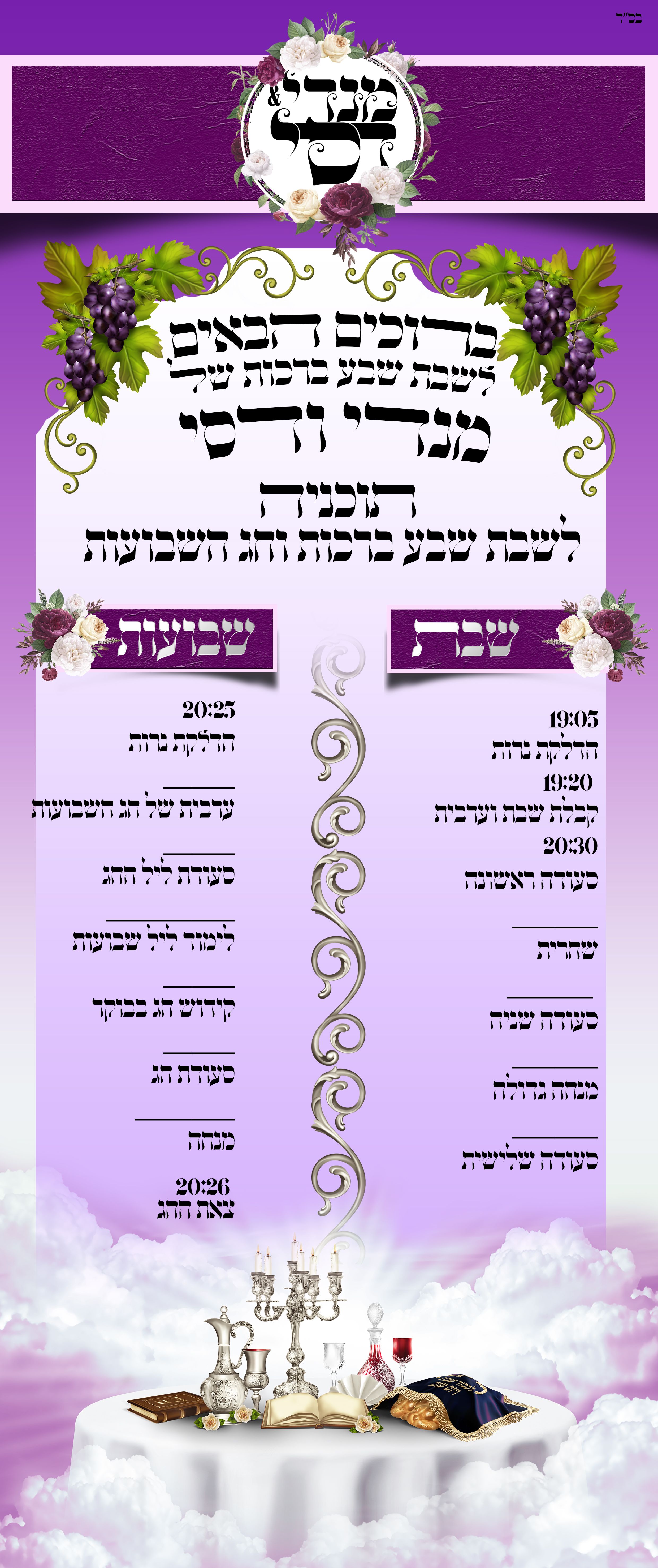 רולאפ תוכניה דסי.jpg