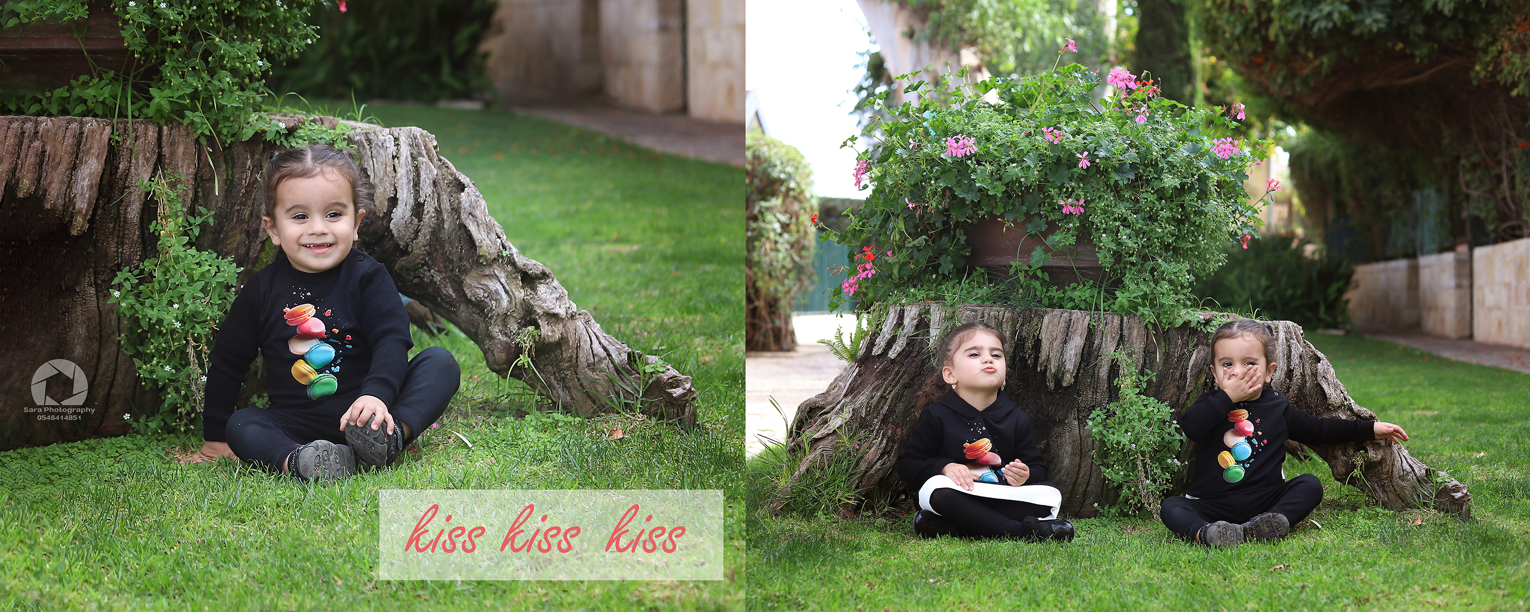 רחלי ושימי דשא.jpg