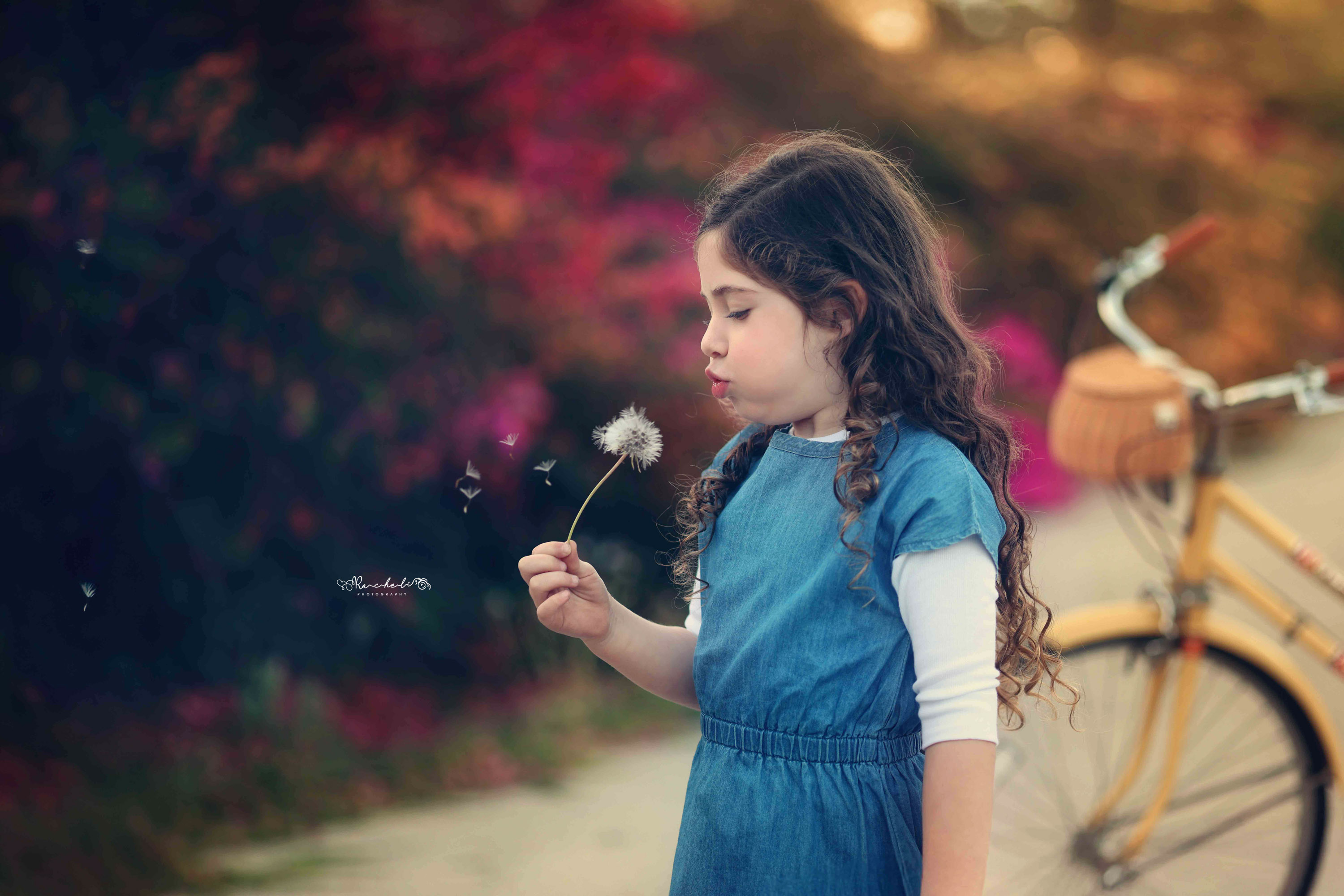 רחלי פוקס 0548442030 (2).jpg