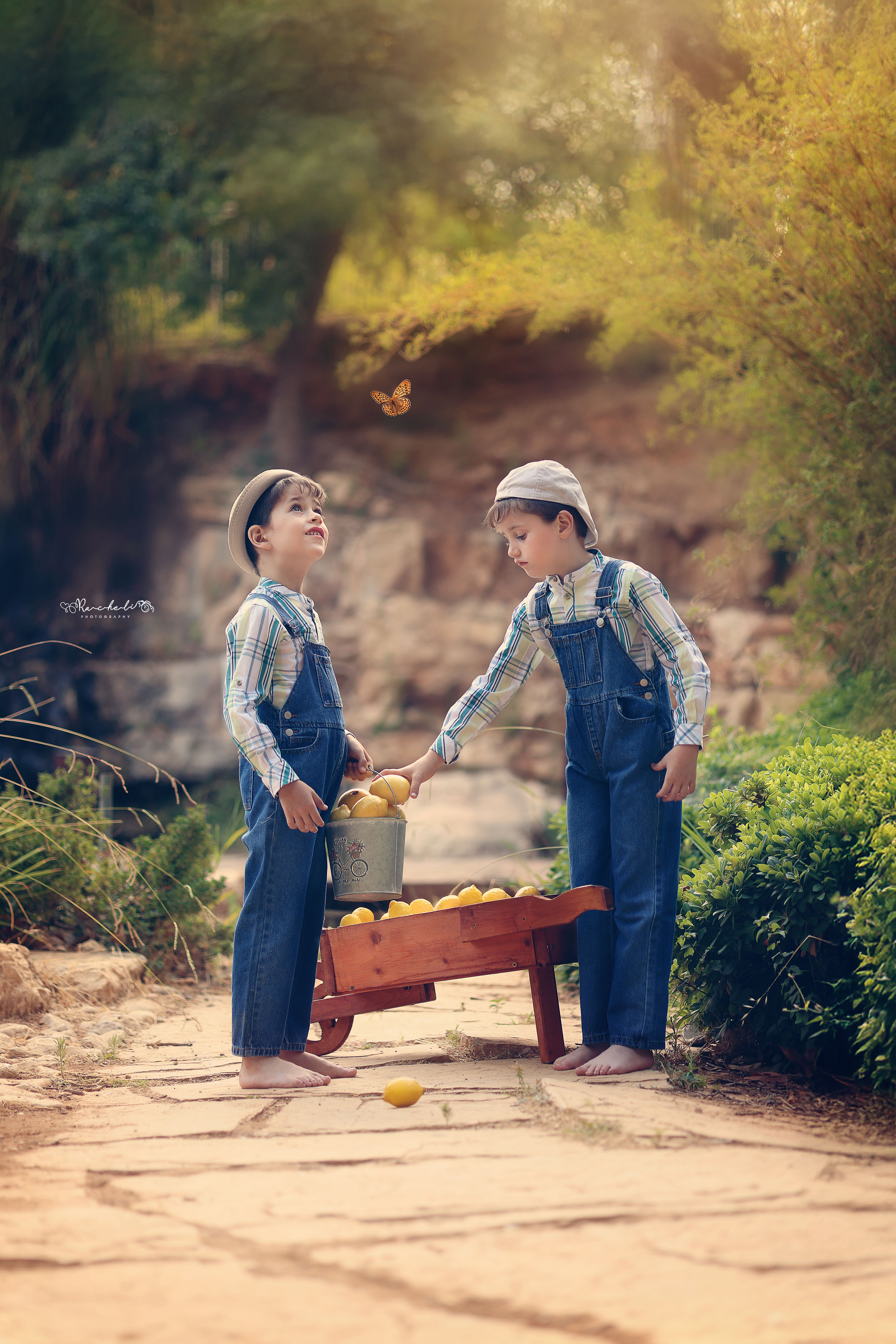 רחלי פוקס 0548442030 (4).jpg