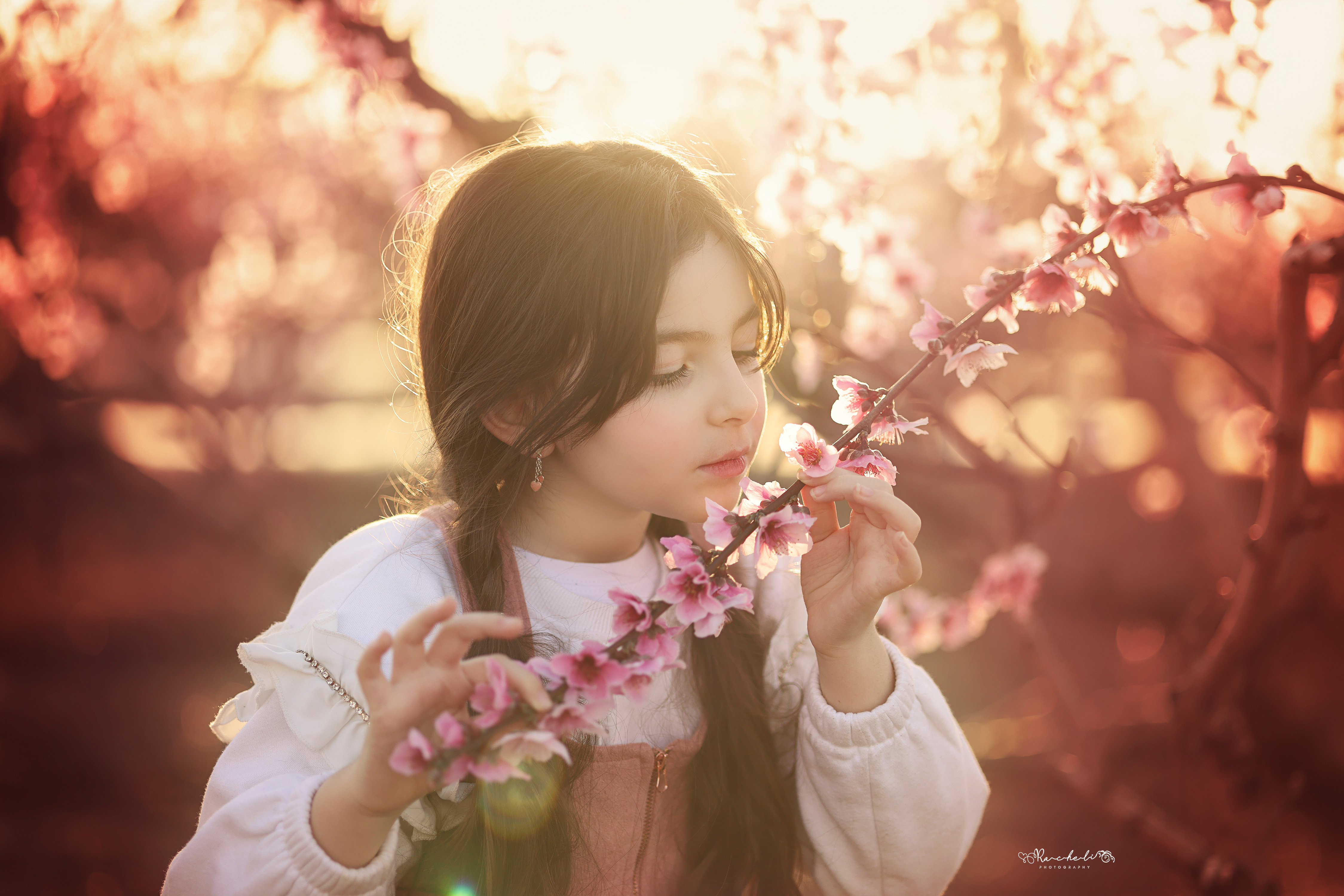 רחלי פוקס 0548442030.jpg