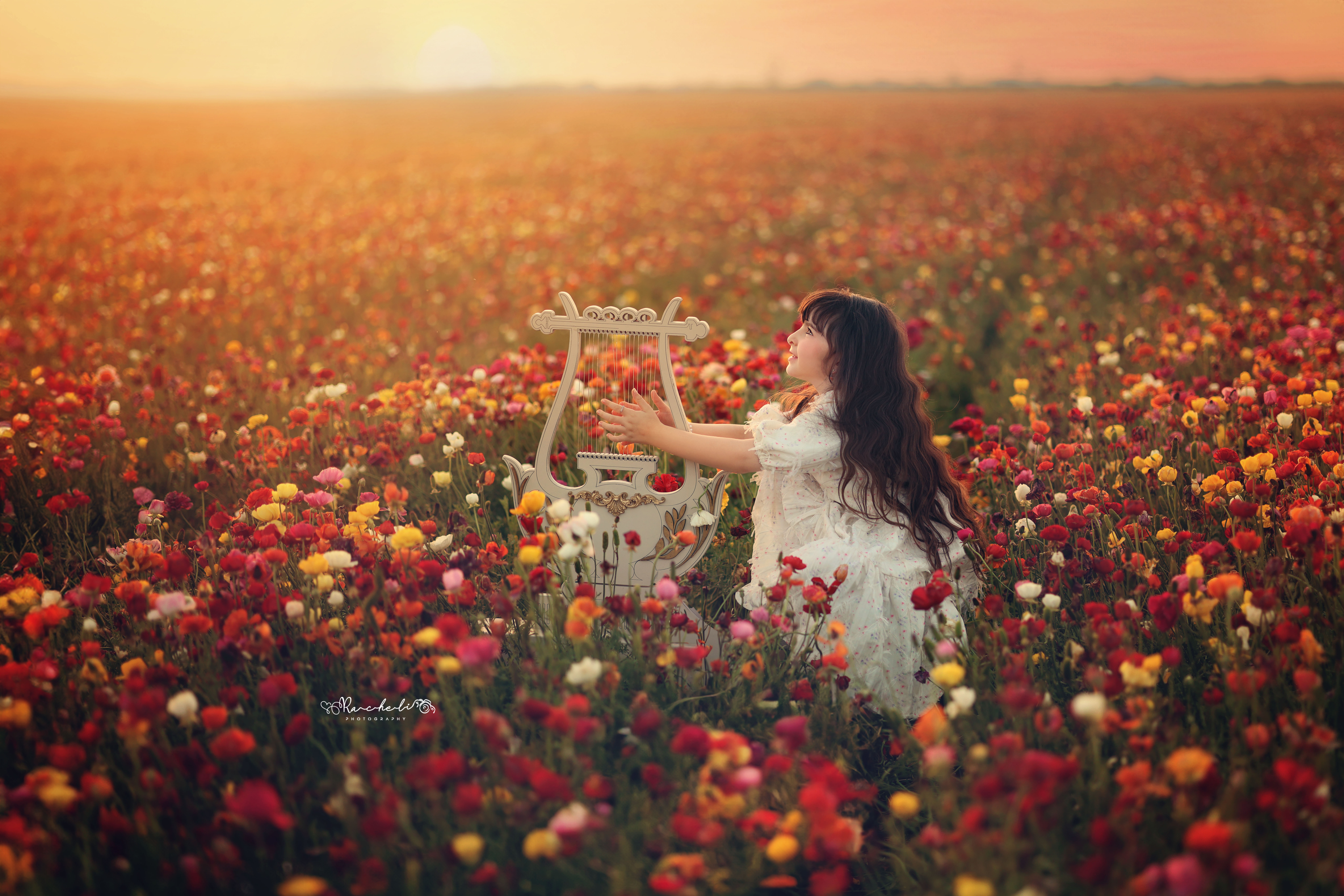 רחלי פוקס.jpg