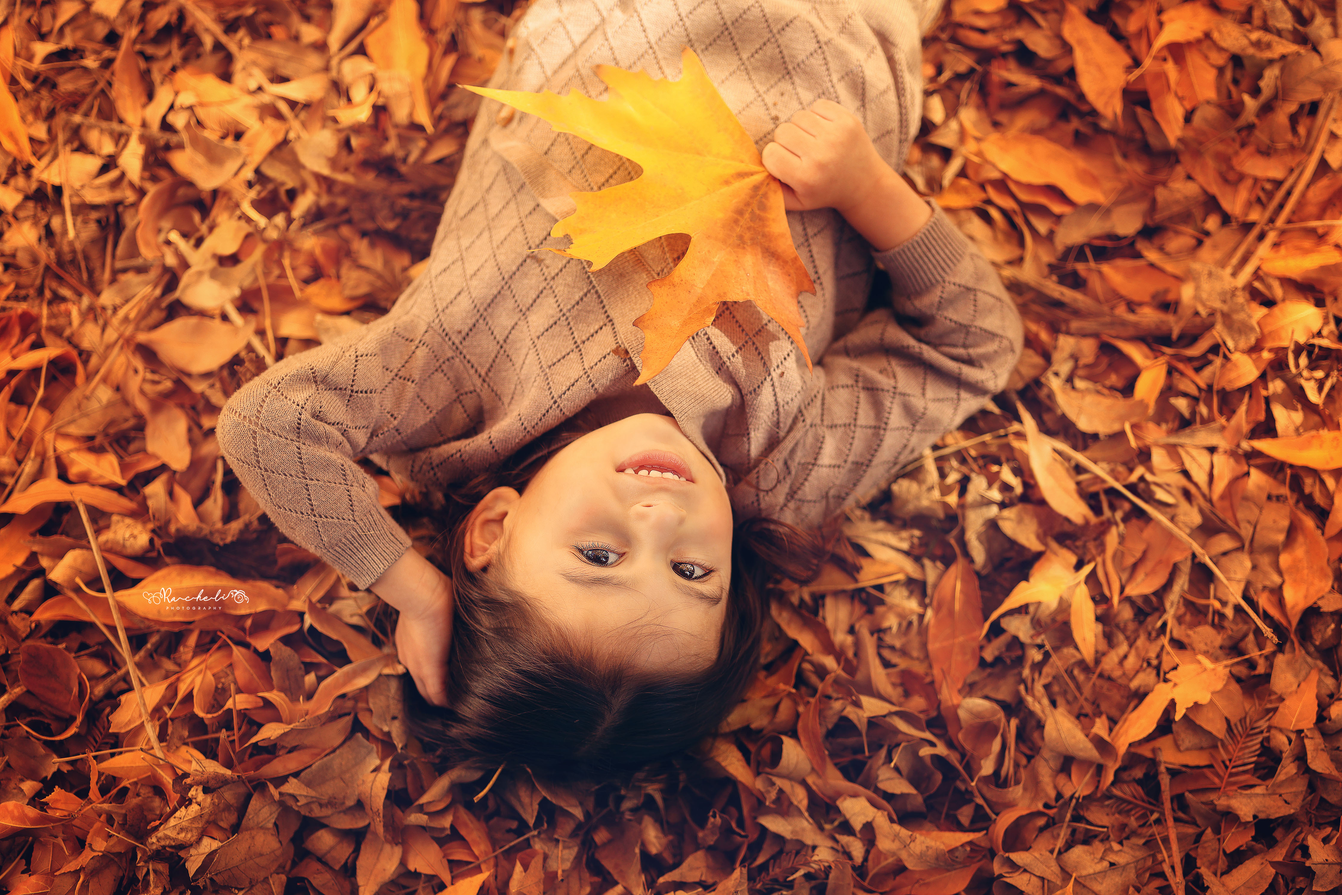 רחלי פוקס.jpg