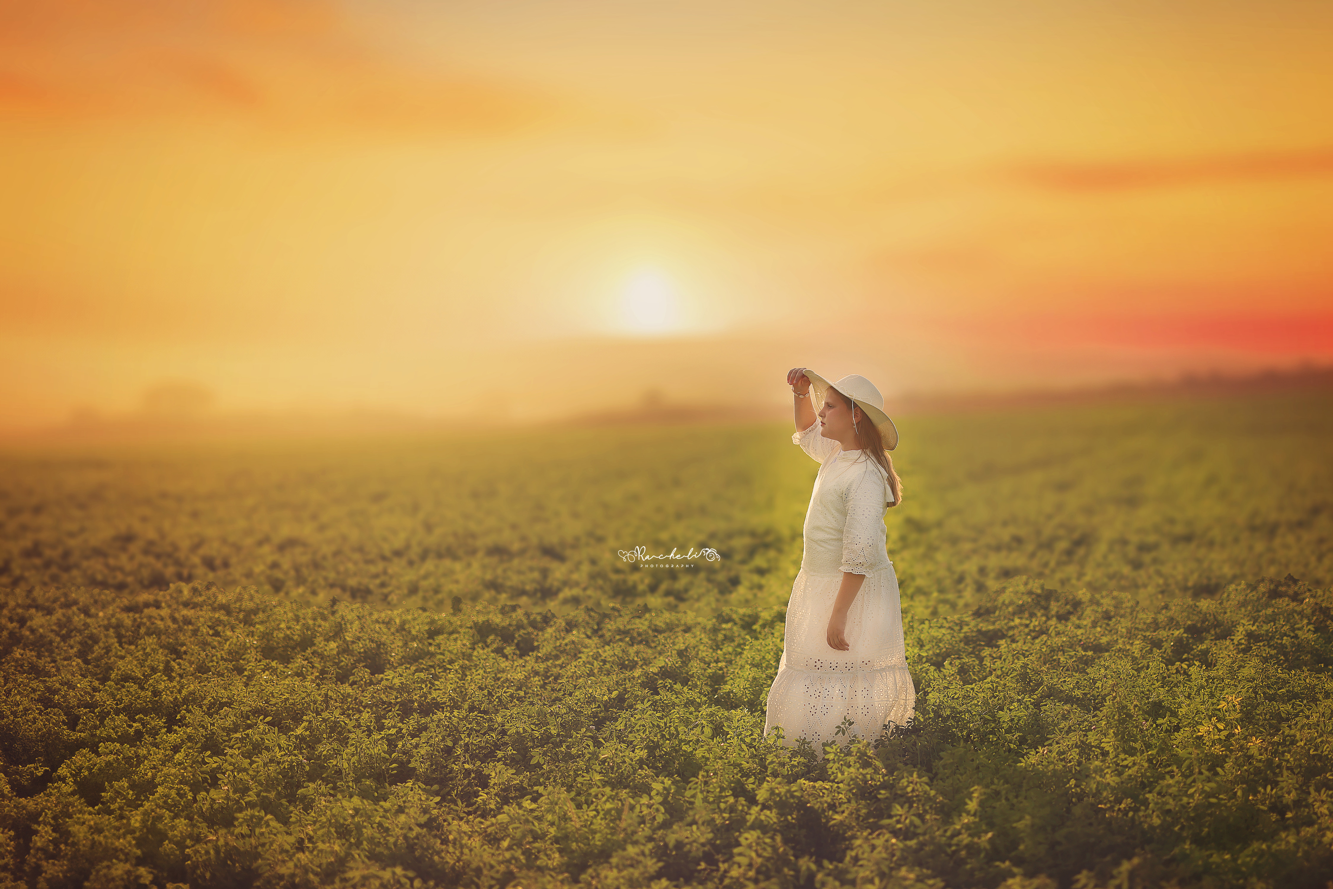 רחלי פוקס.jpg