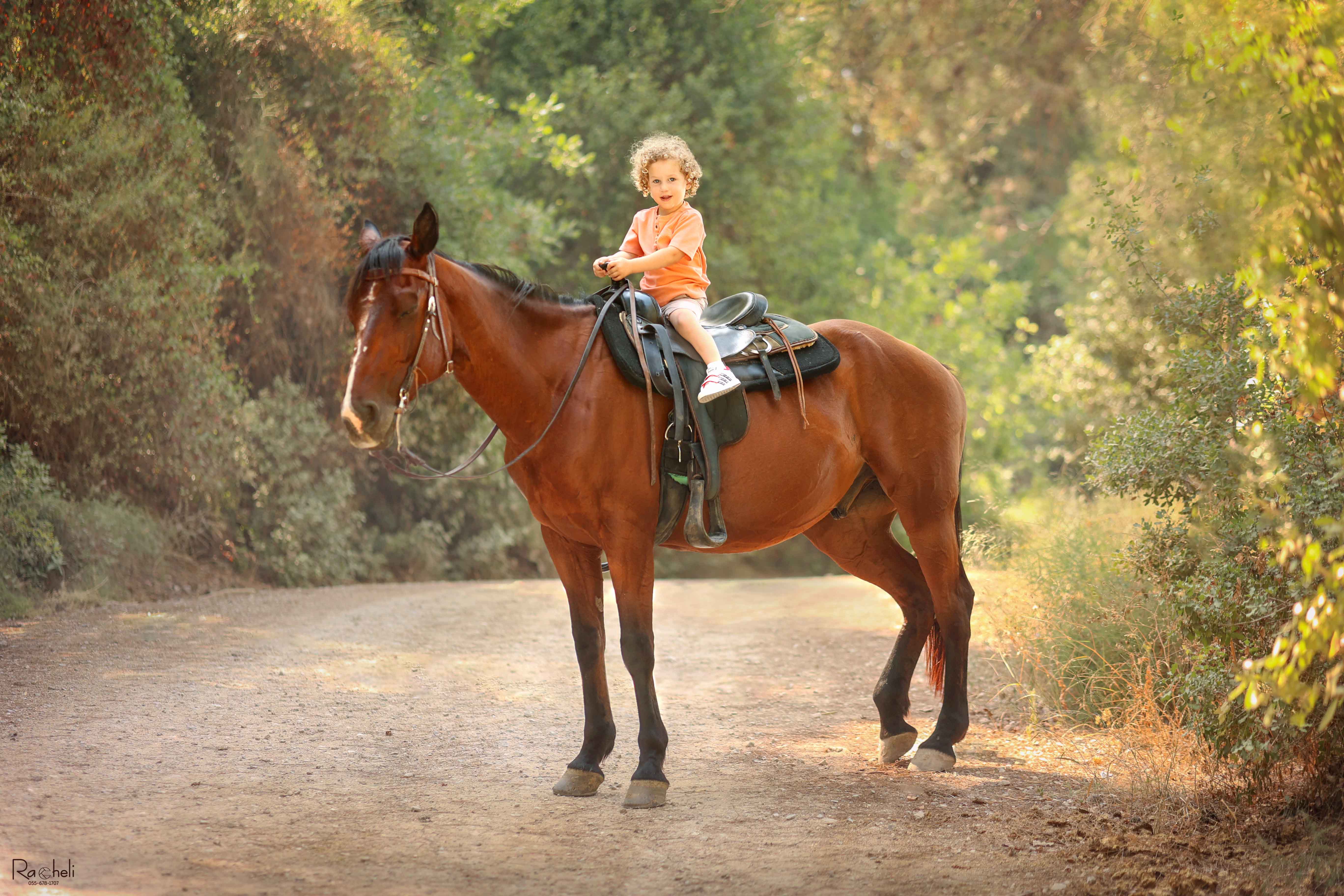 רחלי קנדיבה 0556781707