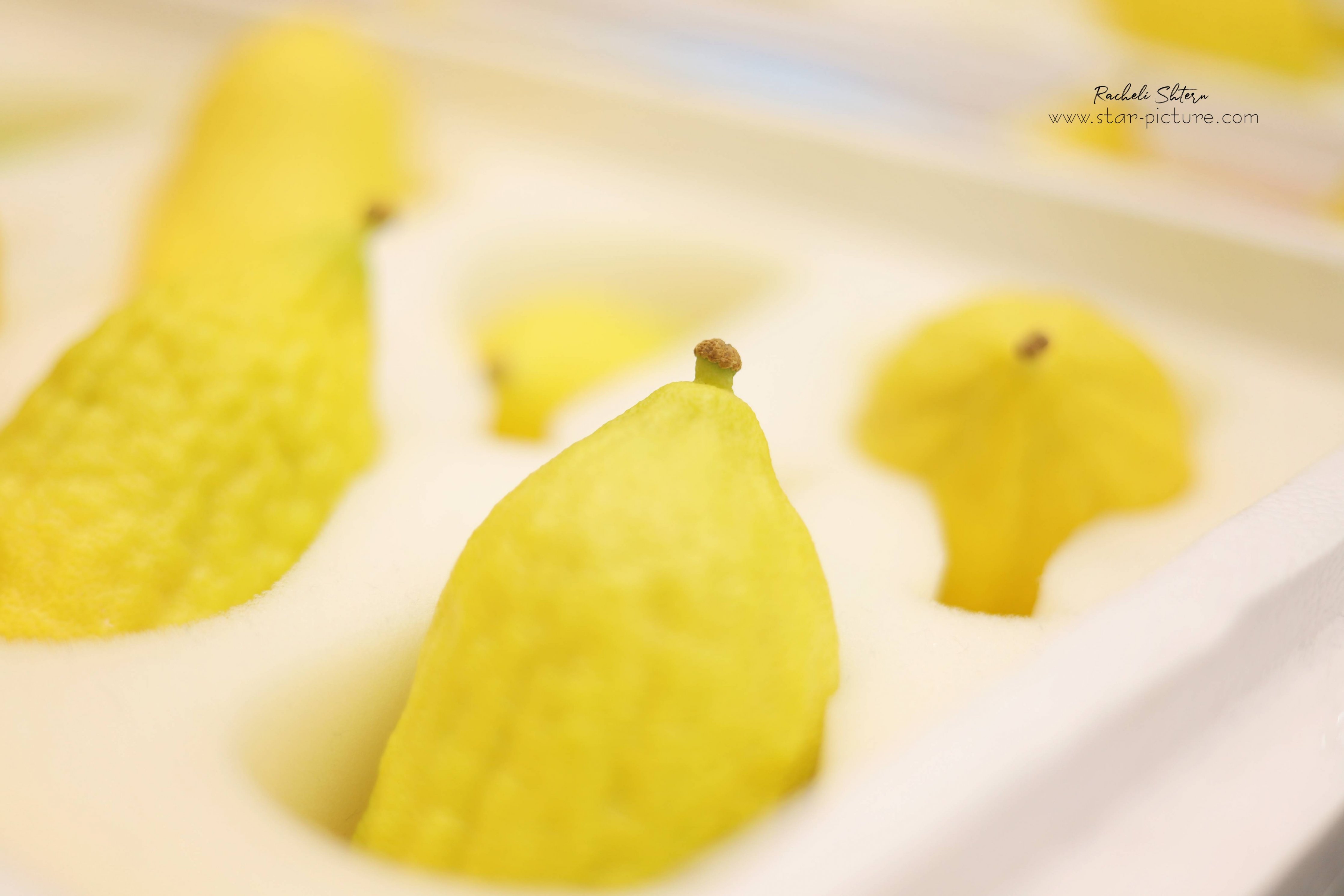 רחלי שטרן 0556720499 (2).jpg