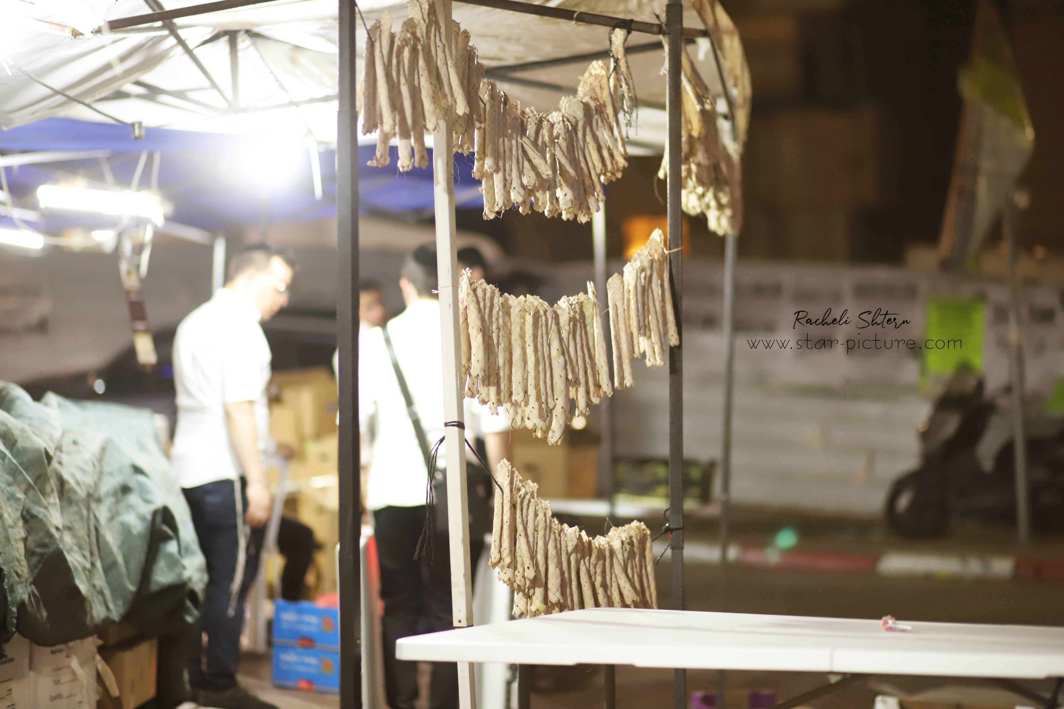 רחלי שטרן 0556720499 (7).jpg