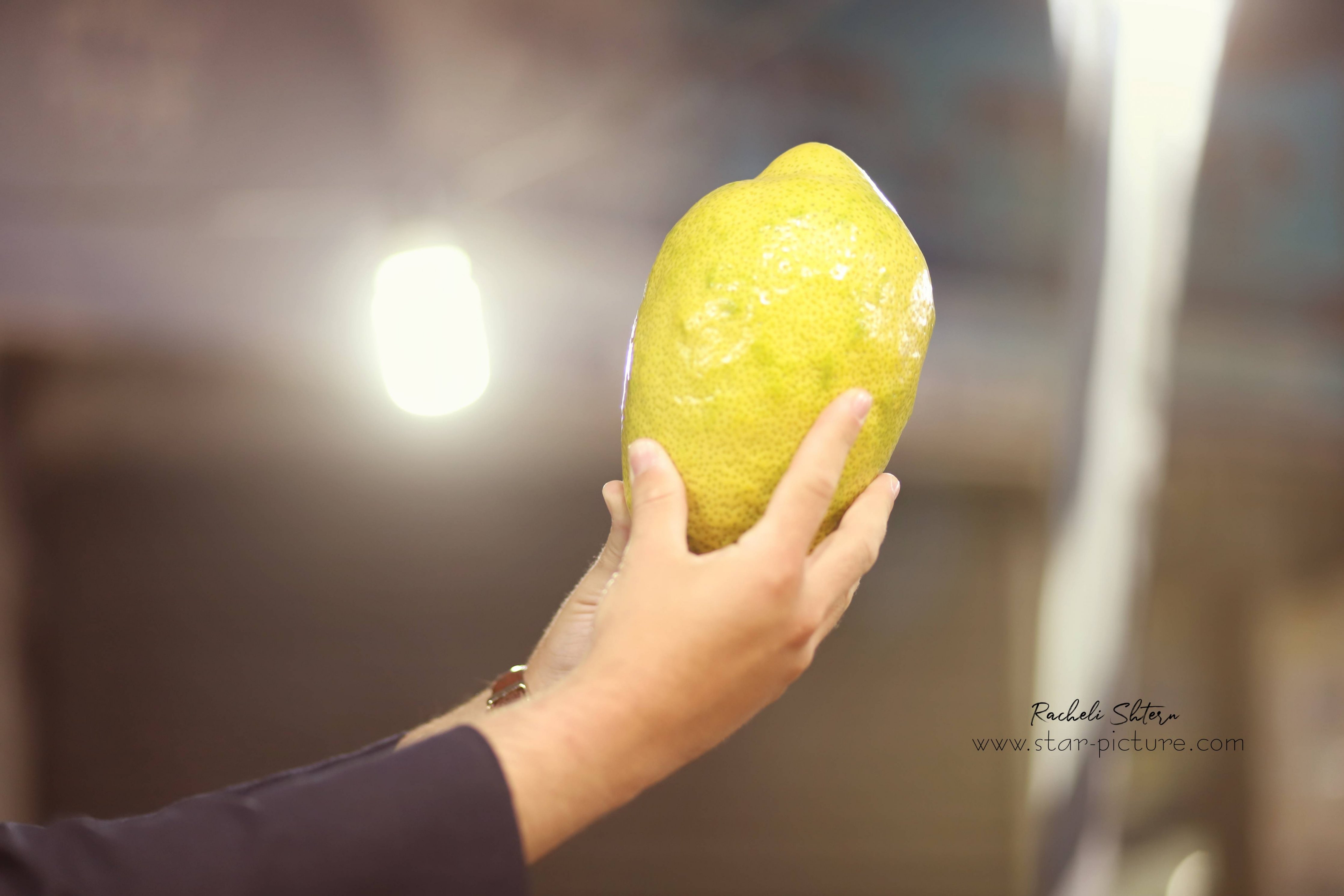 רחלי שטרן 0556720499 (9).jpg