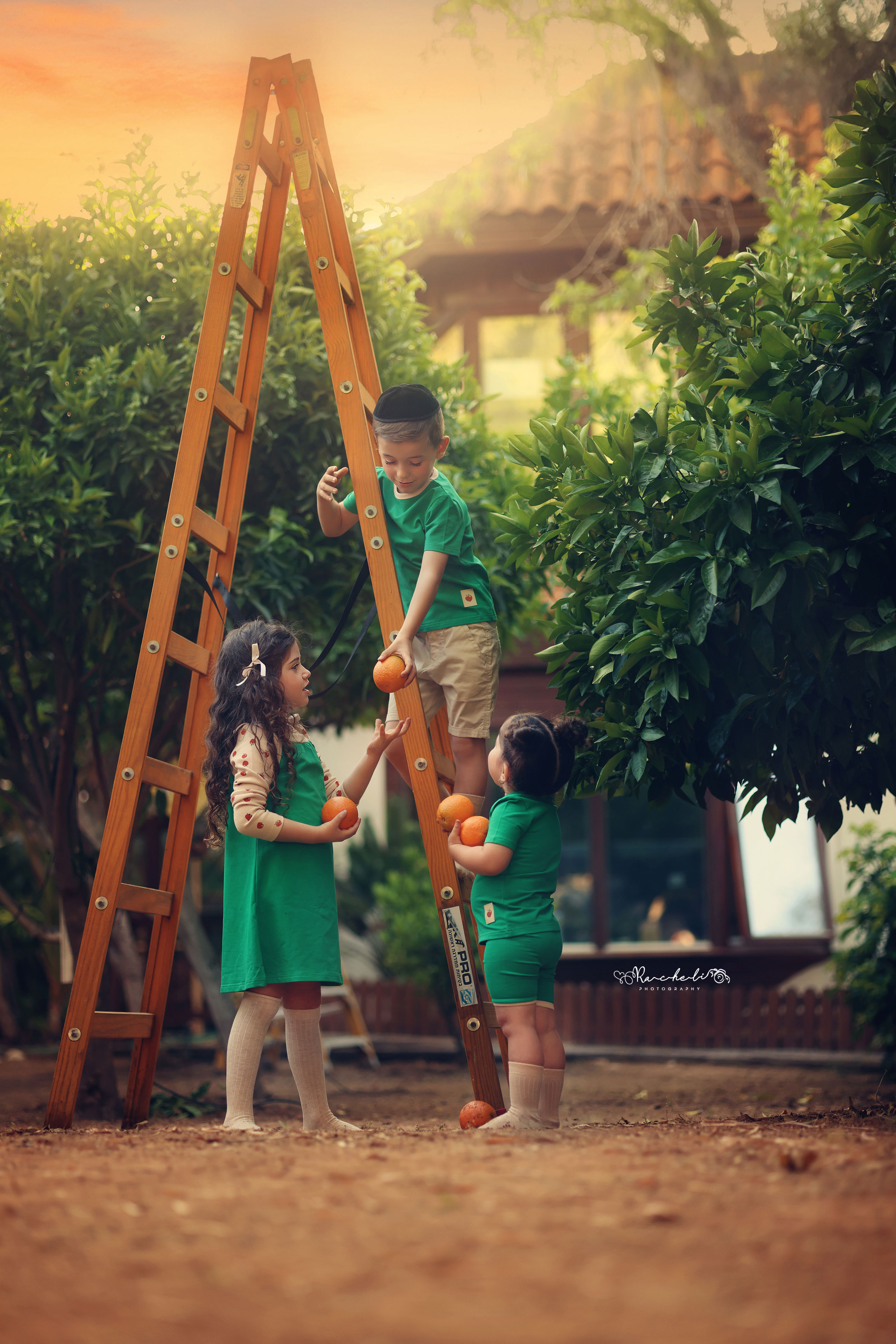 רחלי 0548442030 (4).jpg