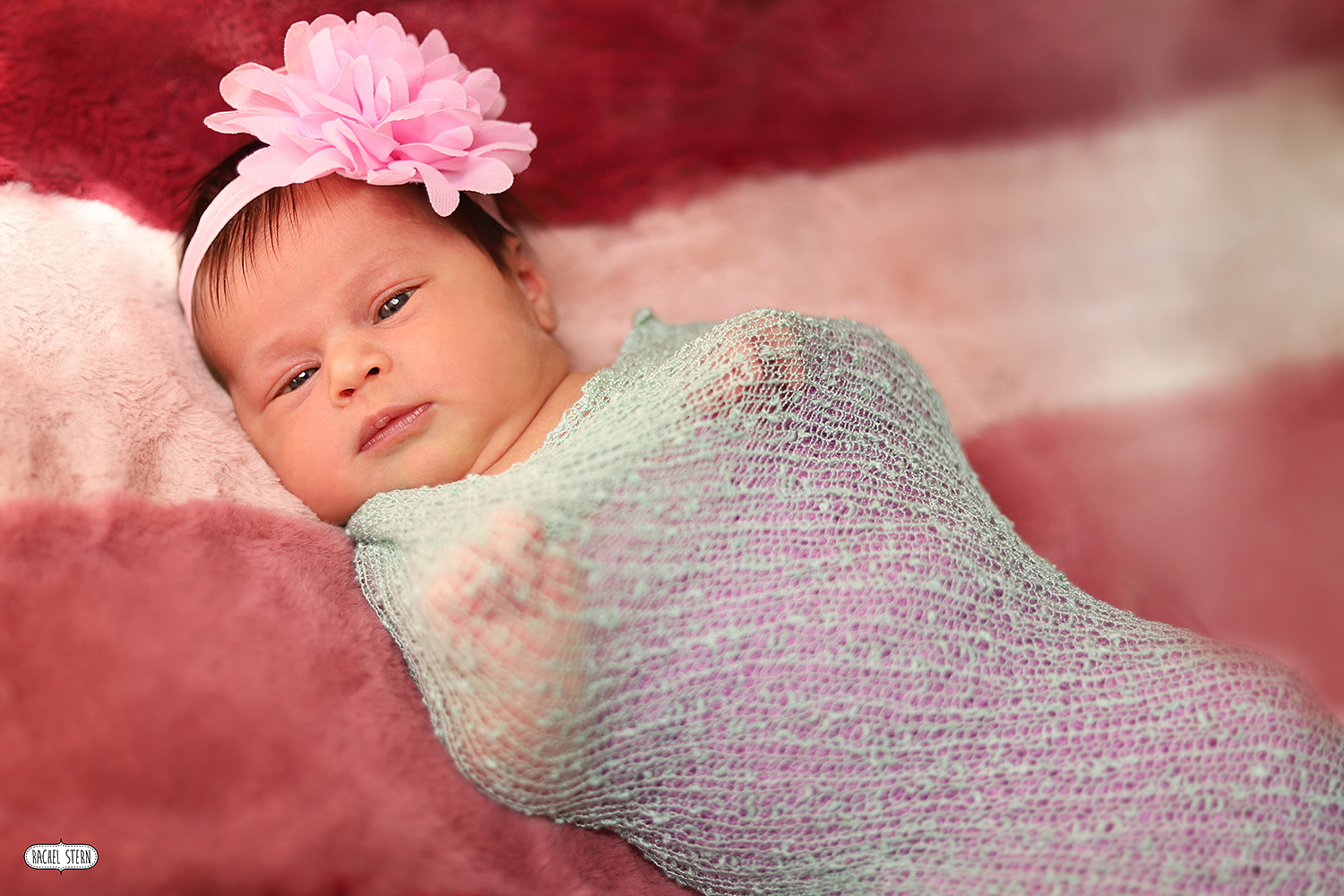 רחל שטרן צילומי ניו בורן