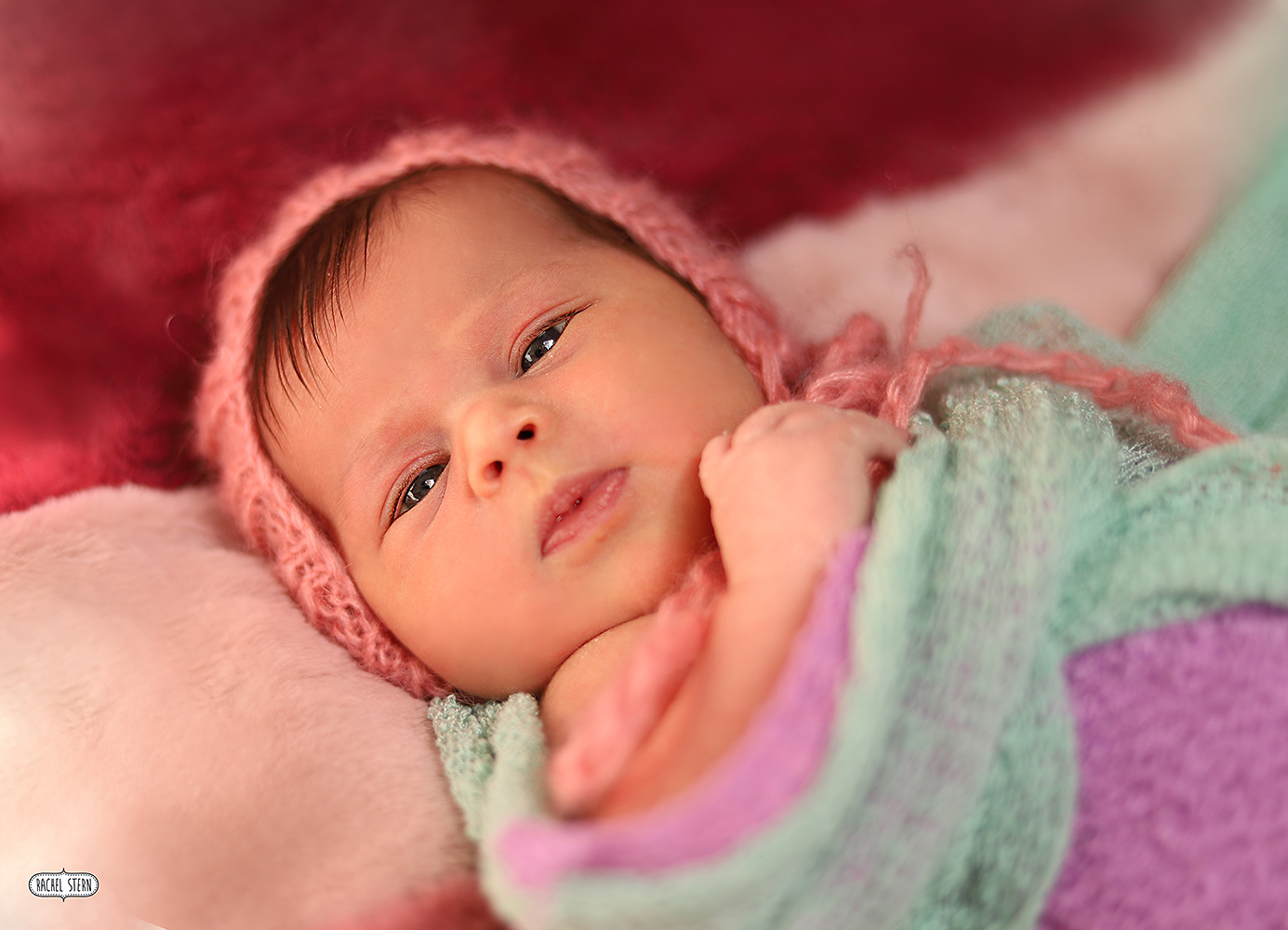 רחל שטרן צילומי ניו בורן