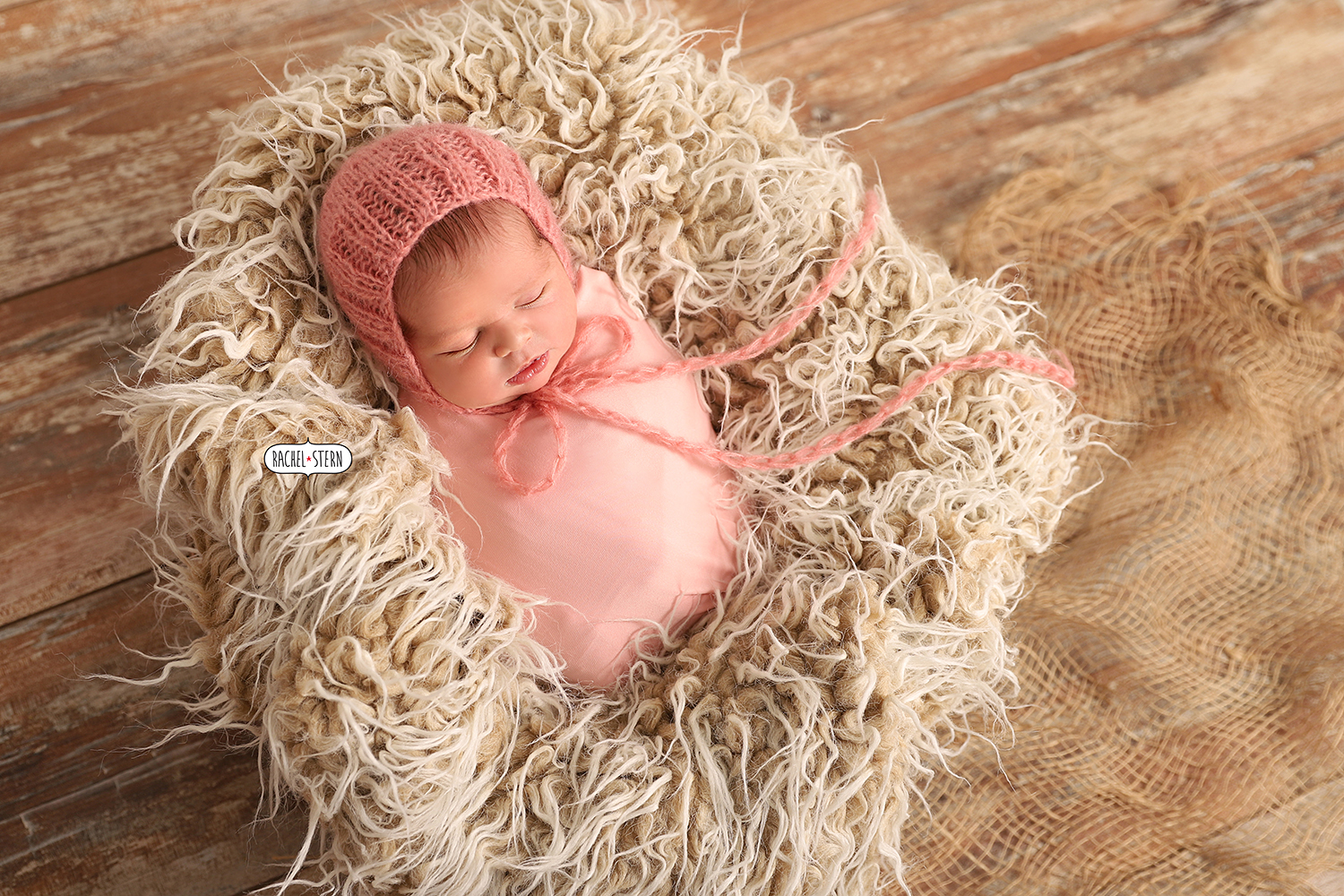 רחל שטרן צילומי ניו בורן