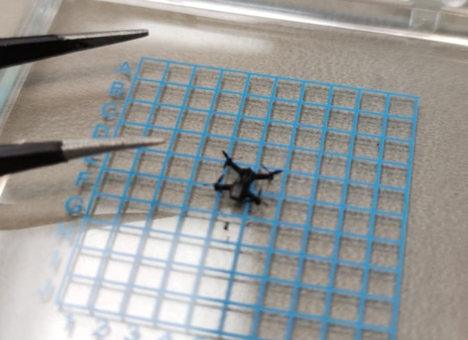 רחפן זעיר - ליד פינצטה להמחשת הגודל