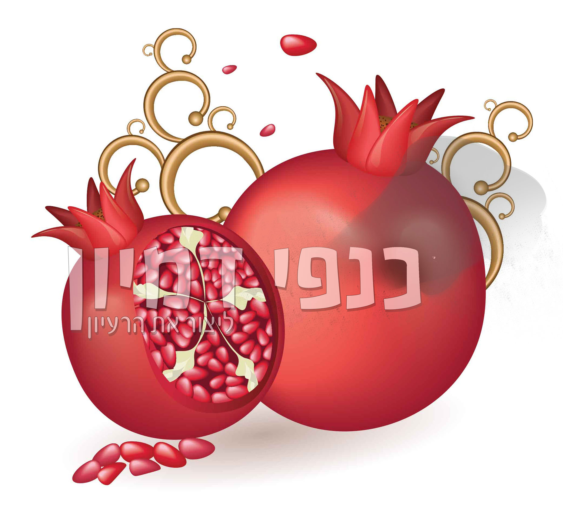 רימונים עם עיטורים יפים