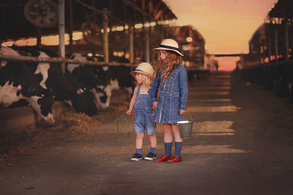 רפת ידיים מ.jpg