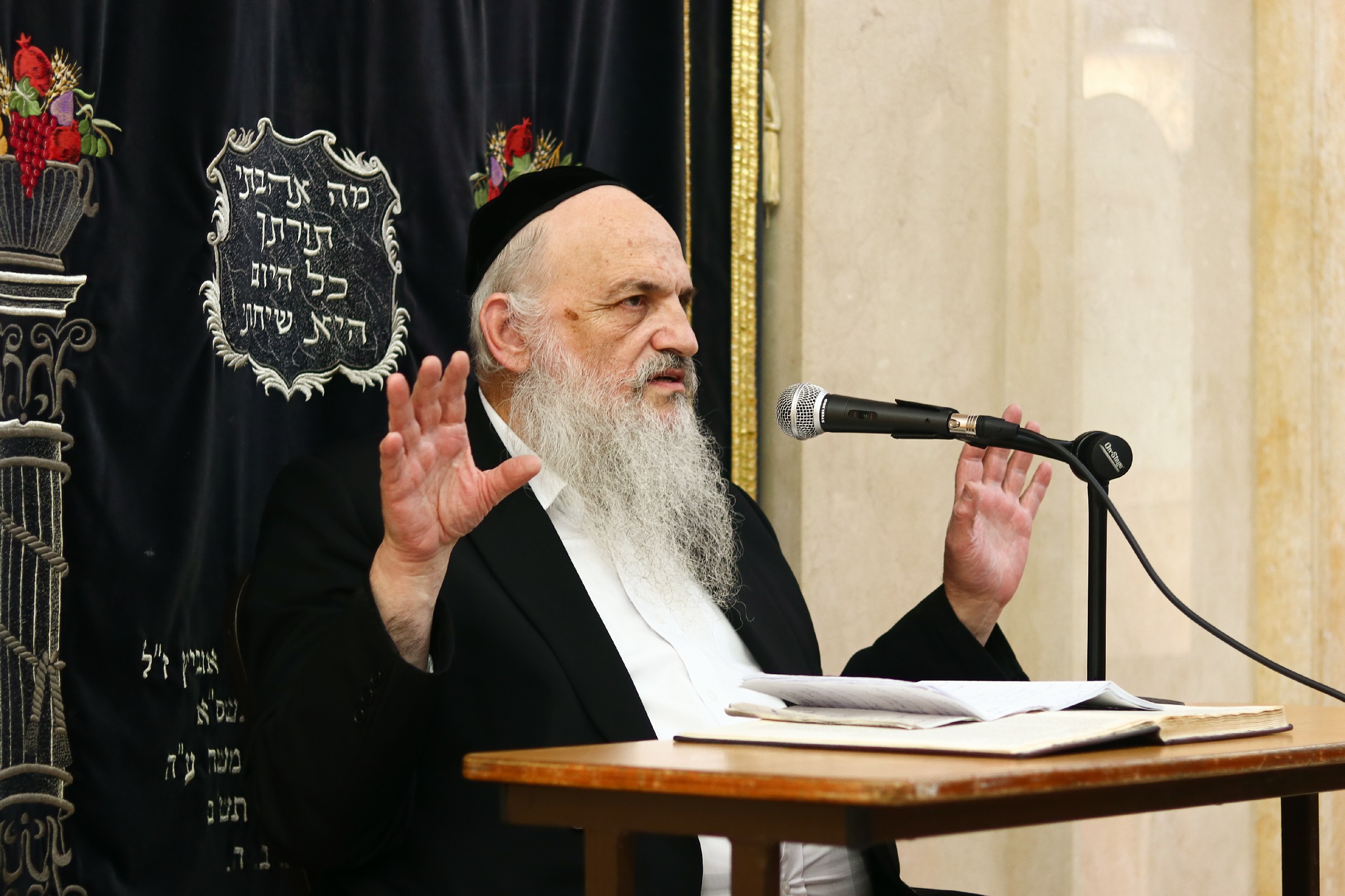 ר' חיים פיינשטיין תשפ''ב (27).jpg