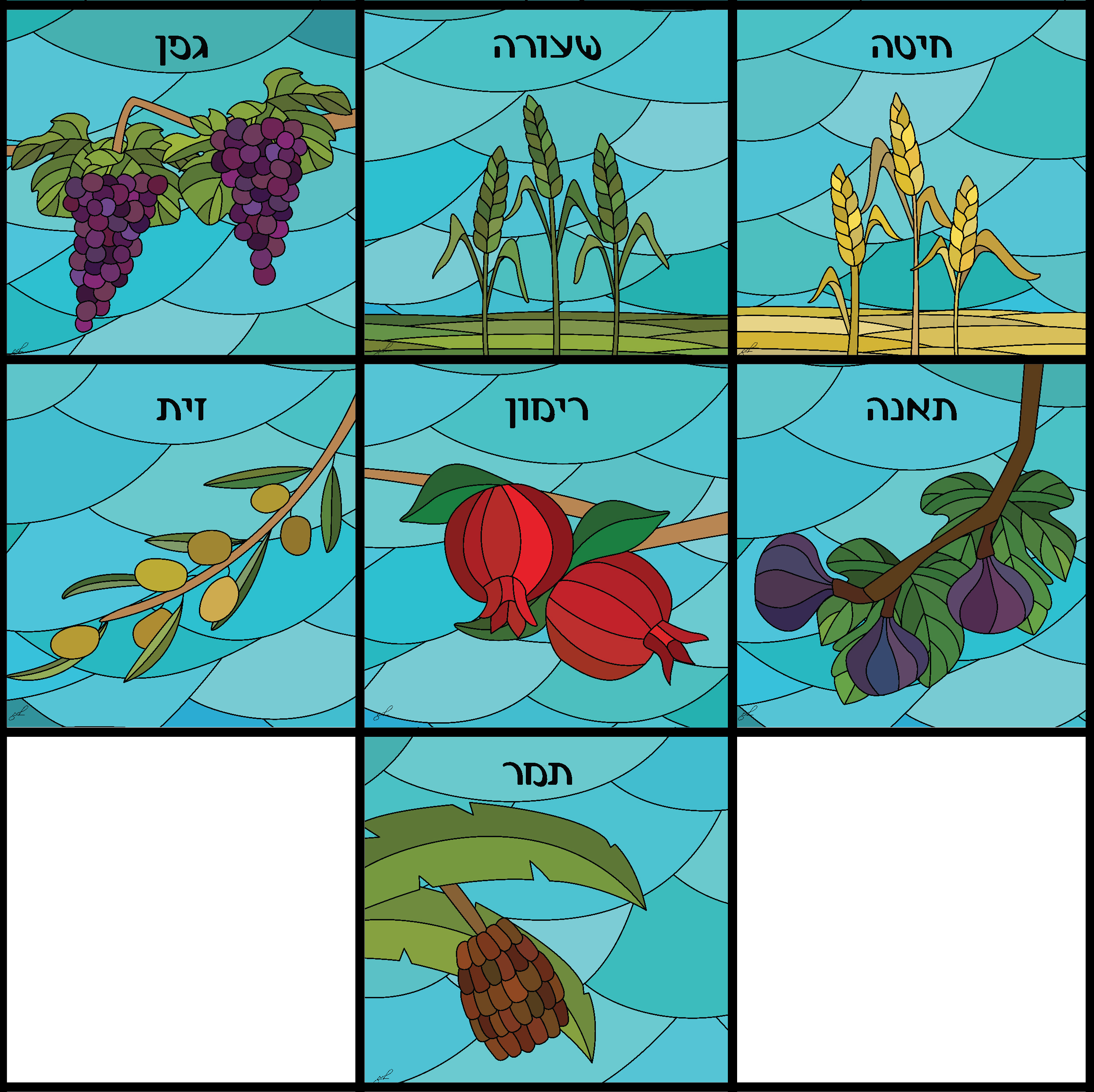 שבעת המינים - דגם בלו