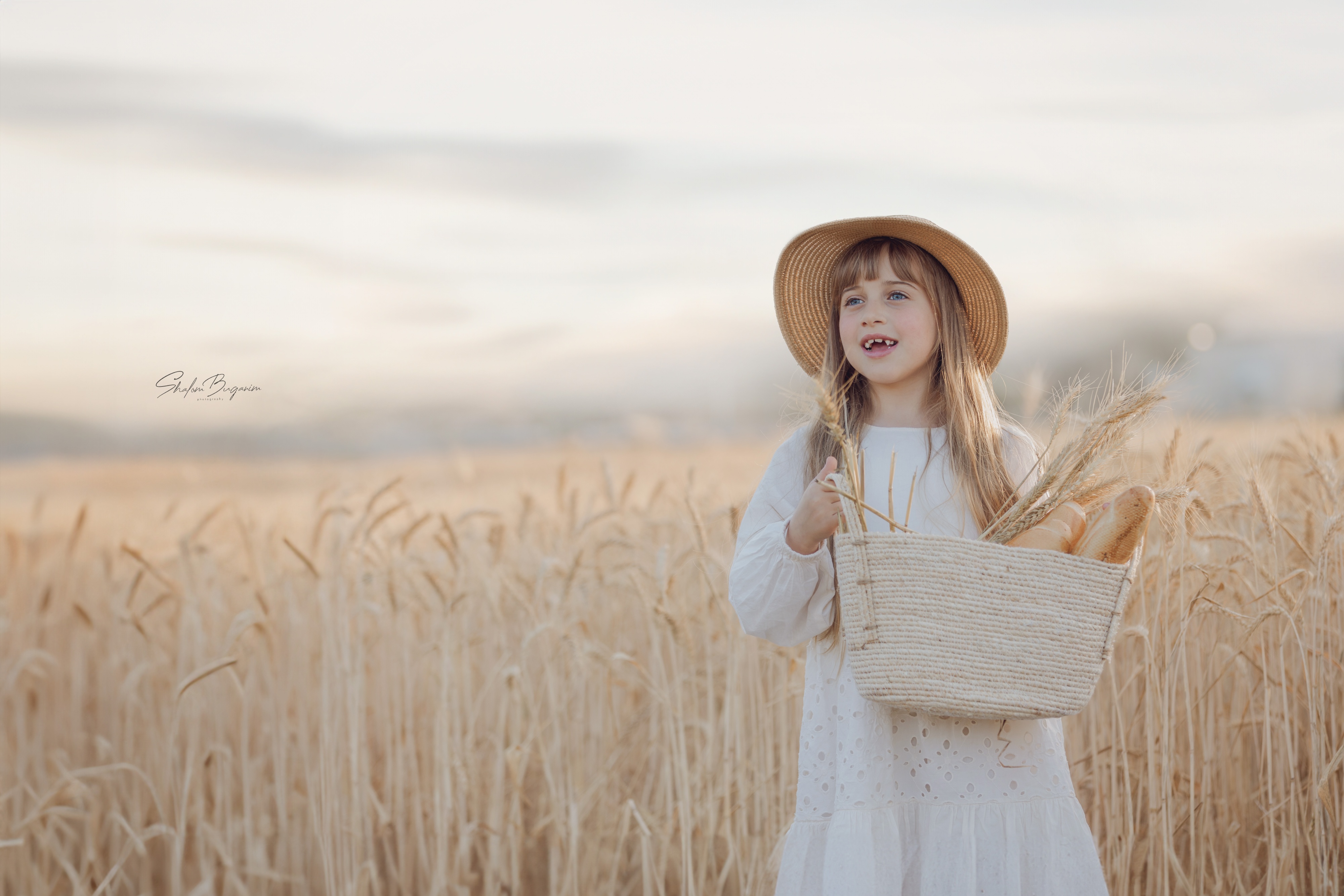 שדה חיטה (1)מוקטן.jpg
