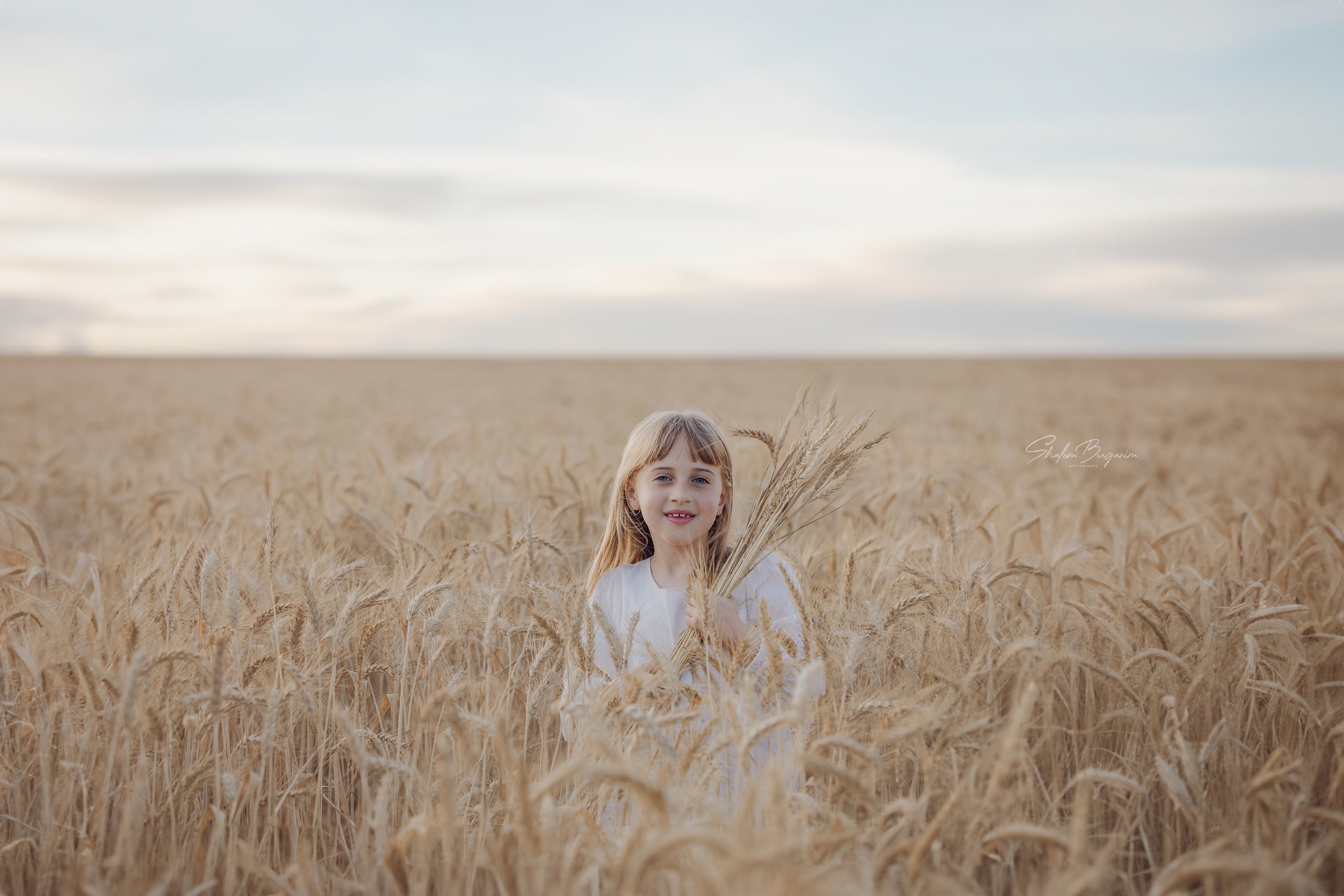 שדה חיטה (2)מוקטן.jpg
