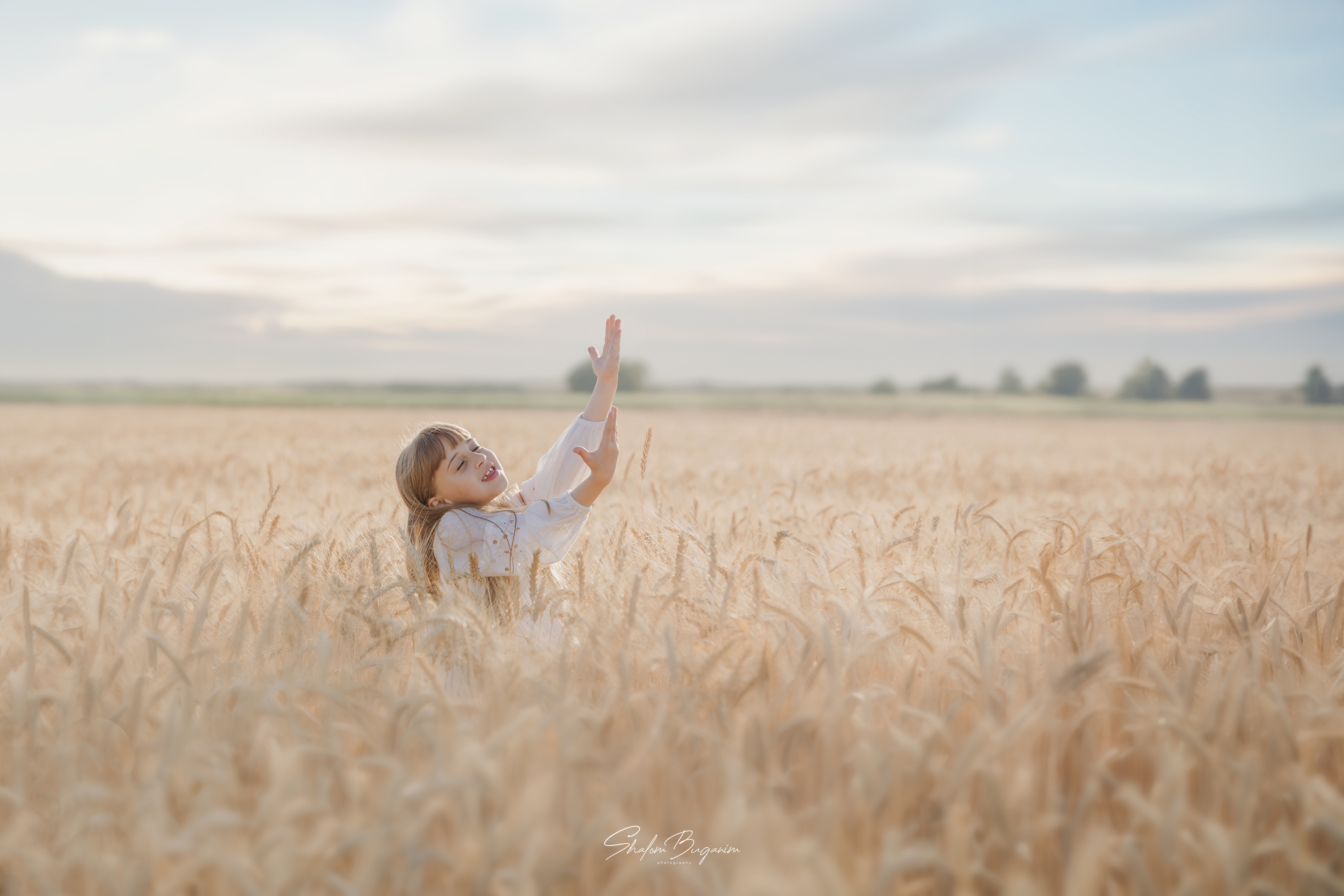 שדה חיטה (3).jpg