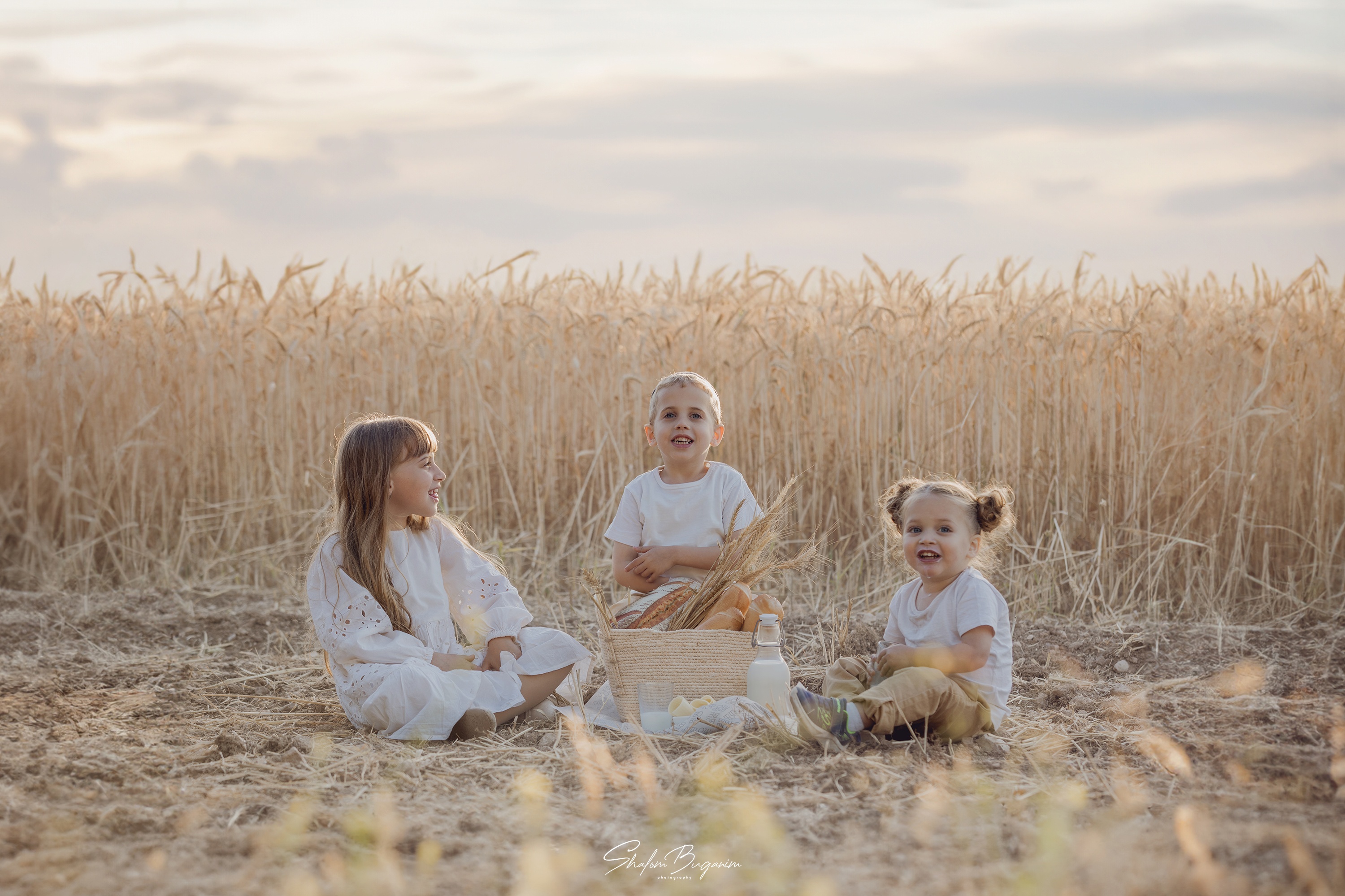 שדה חיטה (4)מוקטן.jpg