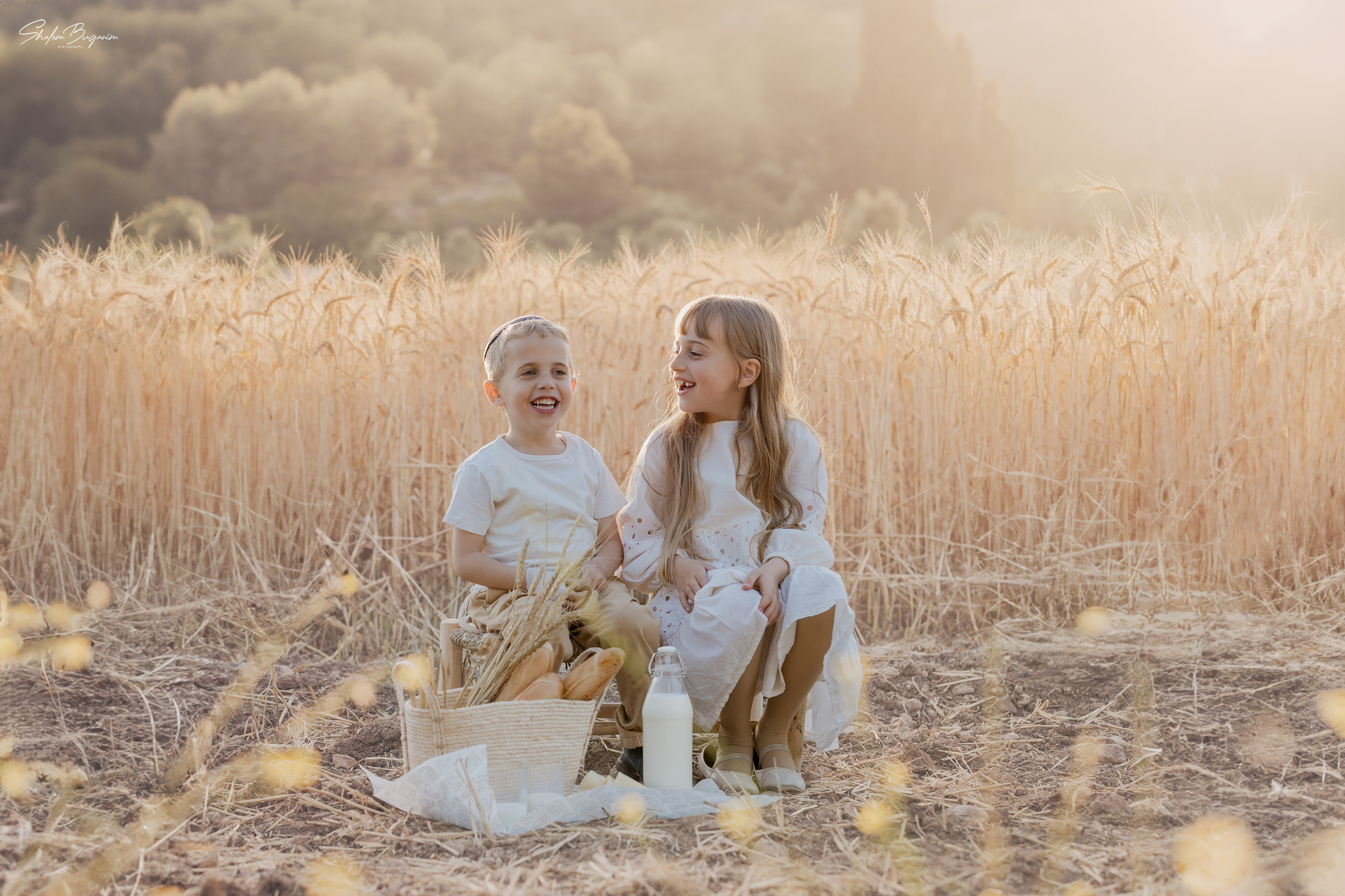 שדה חיטה (6).jpg