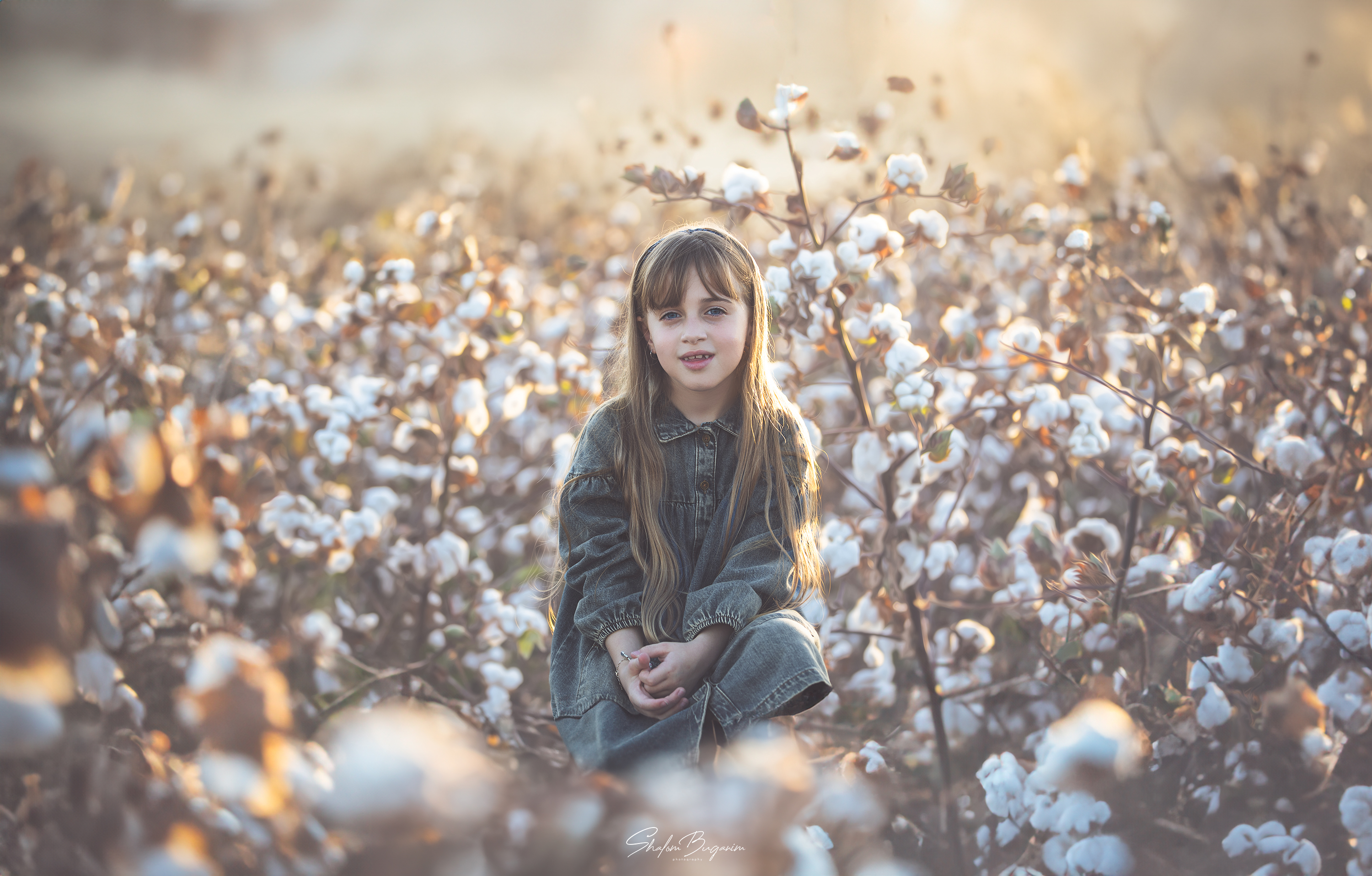 שדה כותנה (2).jpg