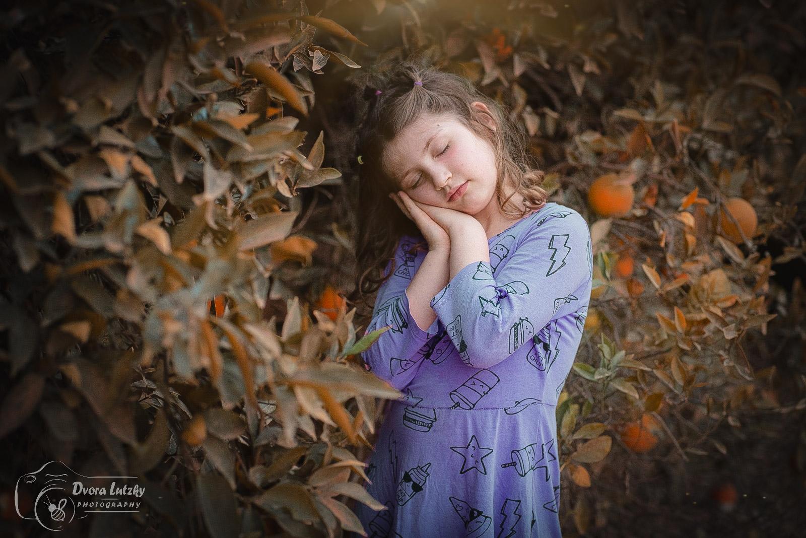 שדה קסום | לוצקי דבורה צילום