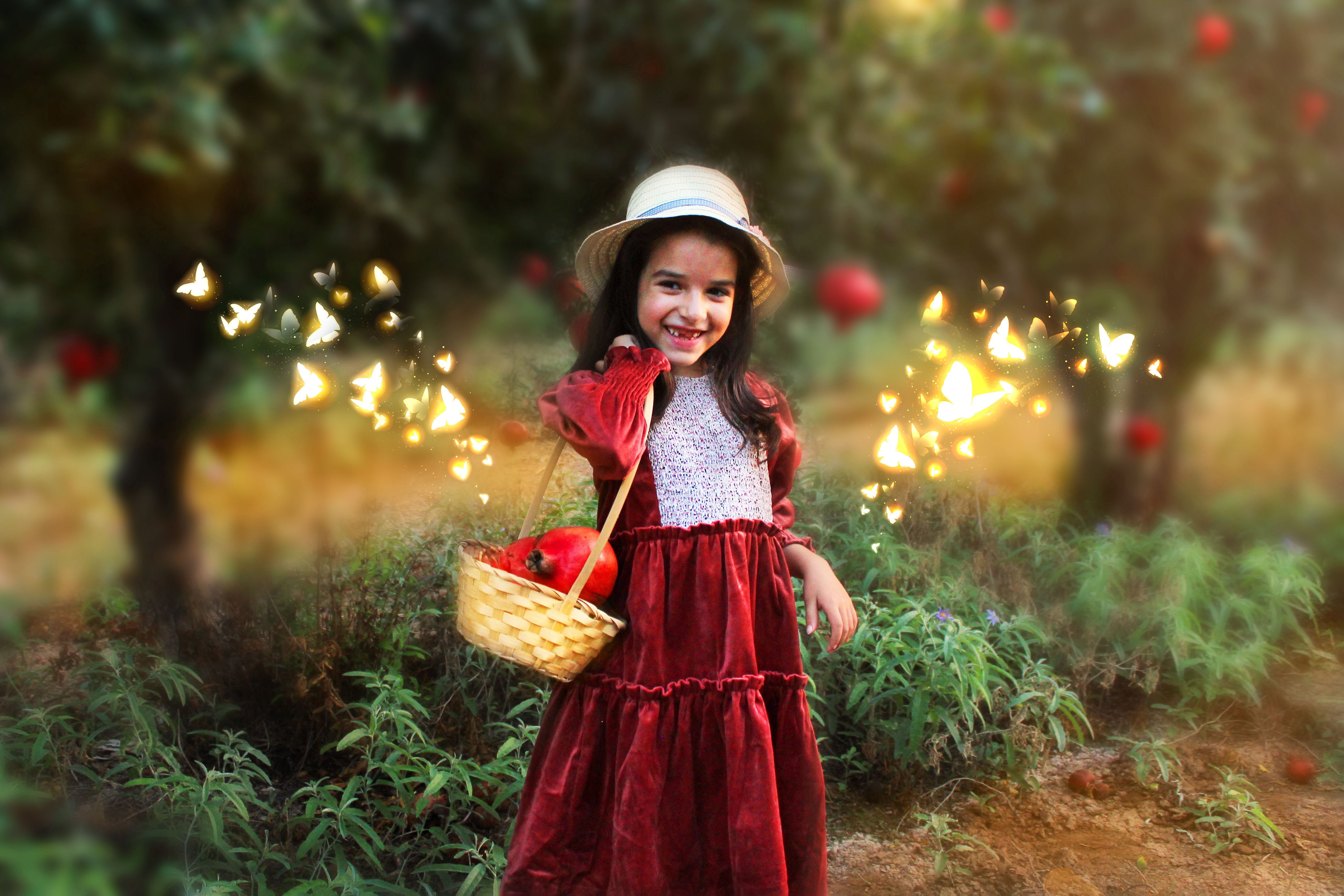 שדה רימונם2----.jpg