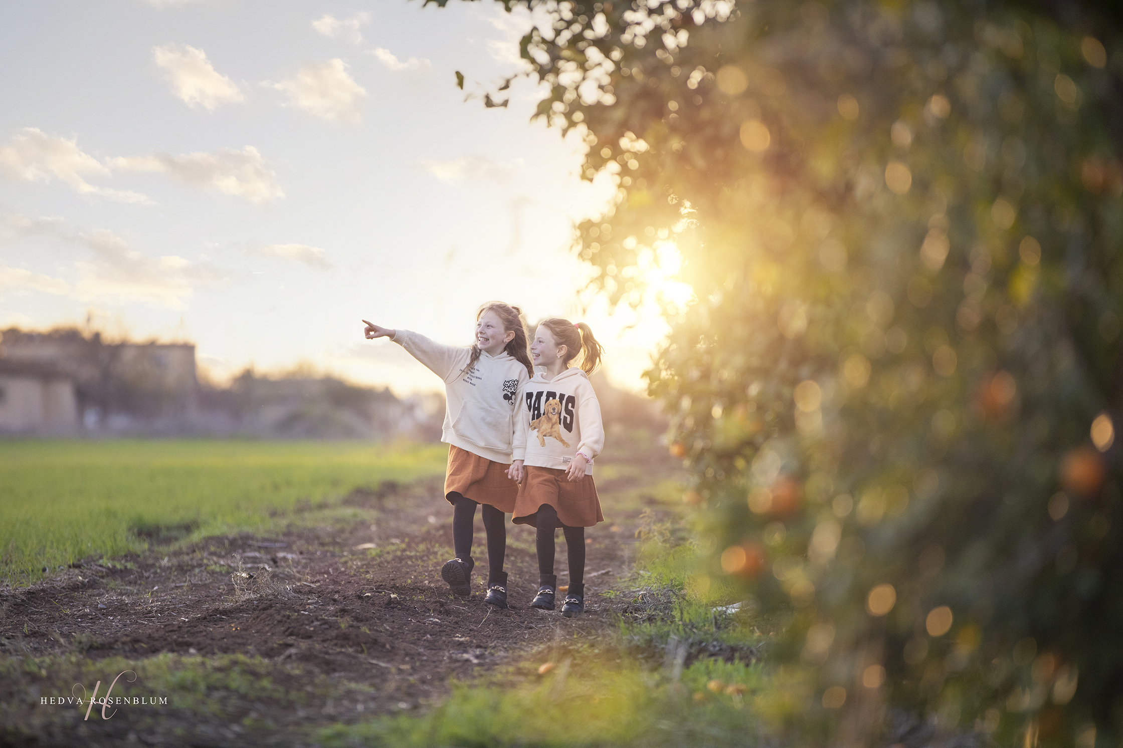 שדות כפר גדעון (1).jpg