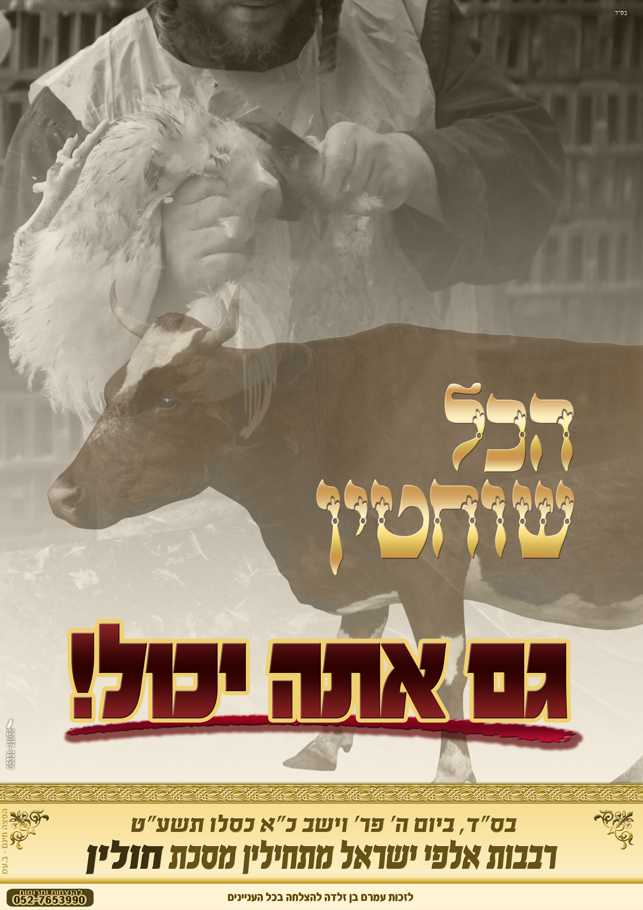 שוחטין