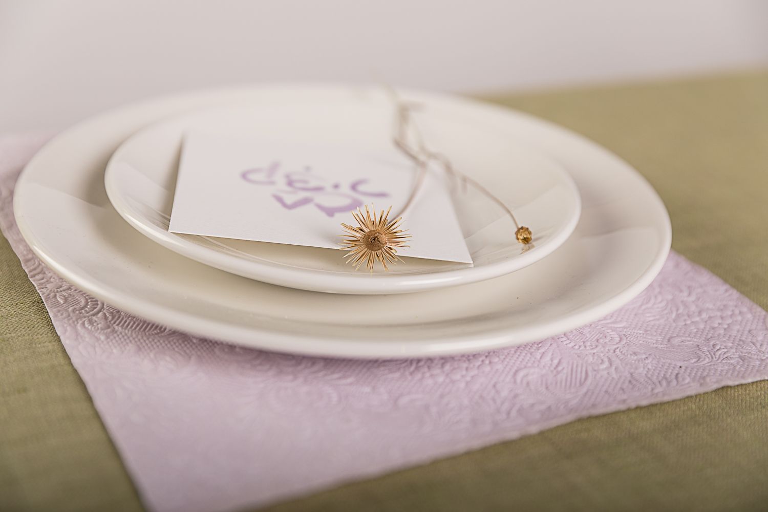 שולחן שבועות 1