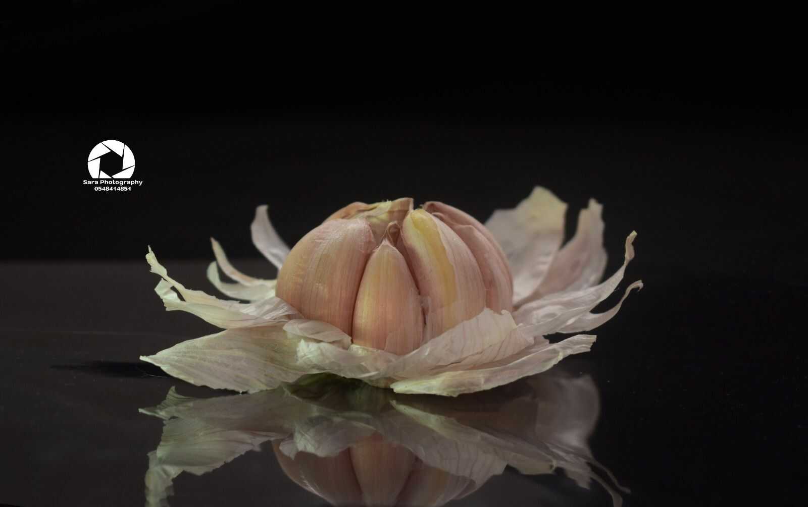 שום מוקטן.jpeg