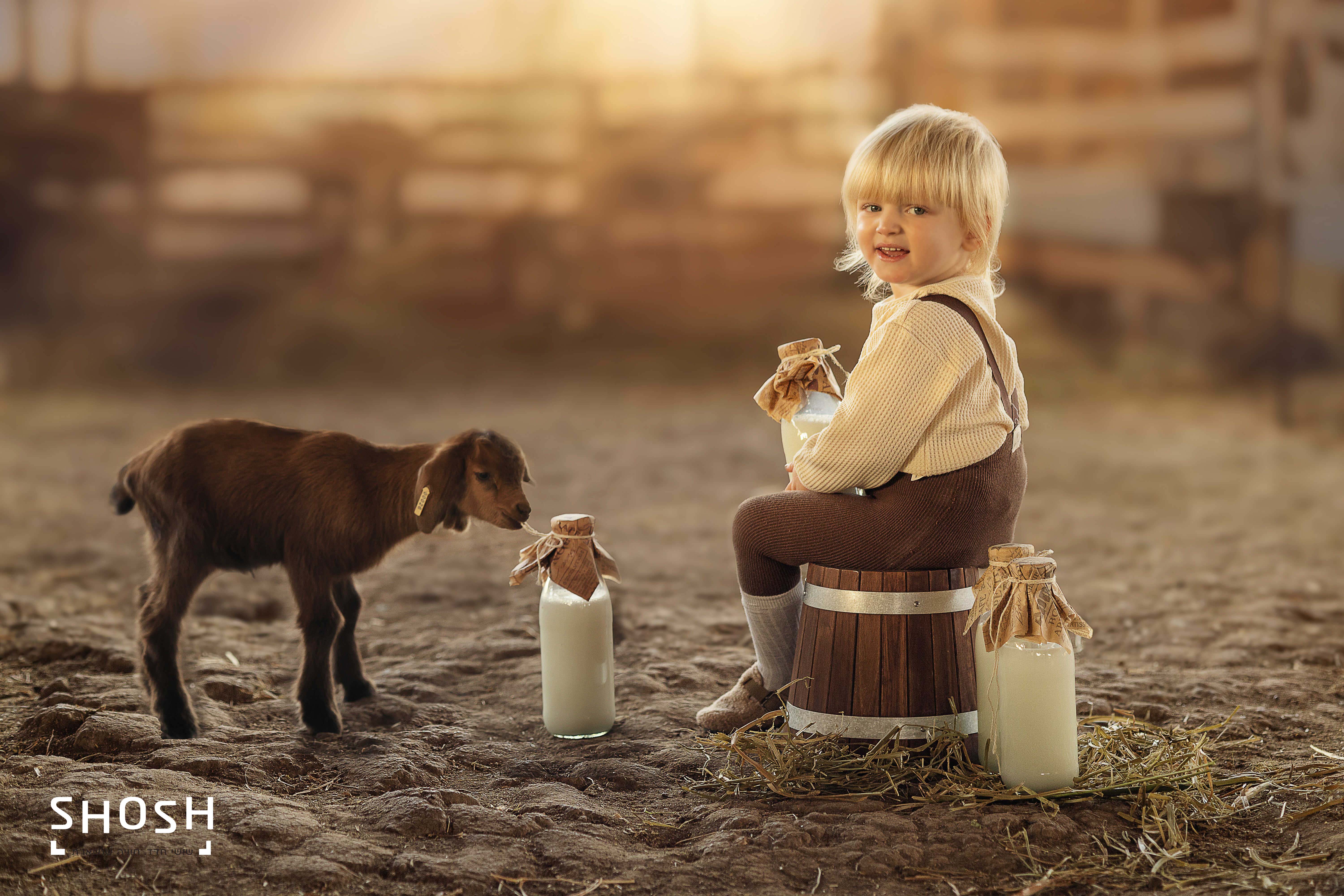 שושי חדד 0583237661