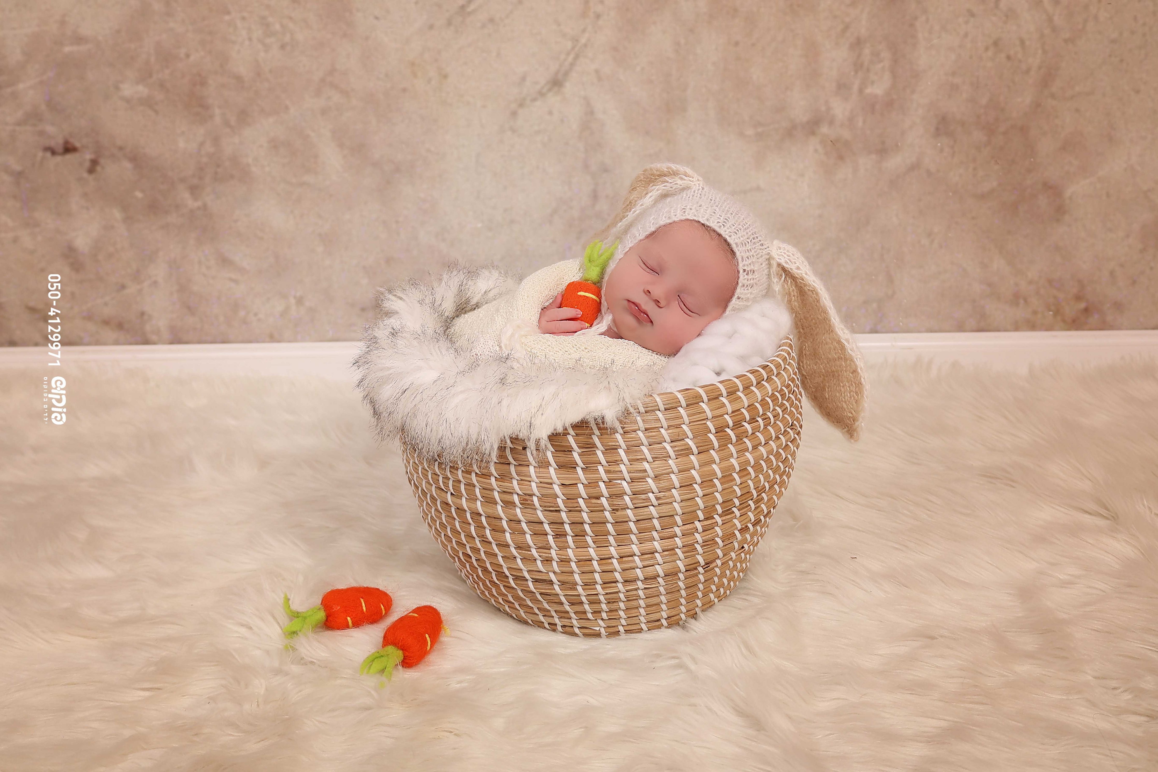 שושי פוקוש 0504129971 ניו בורן  (14).jpg