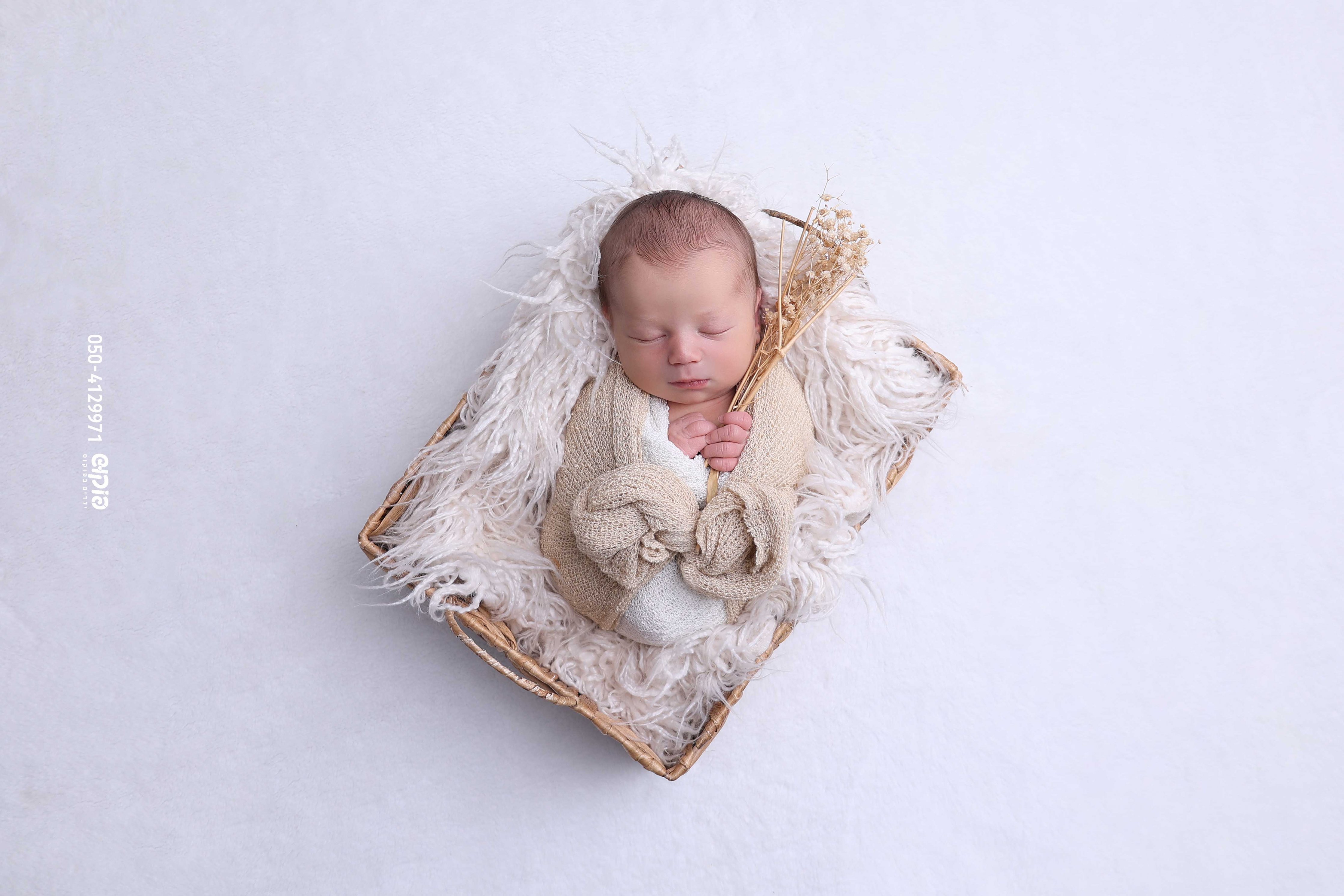 שושי פוקוש 0504129971 ניו בורן  (6).jpg