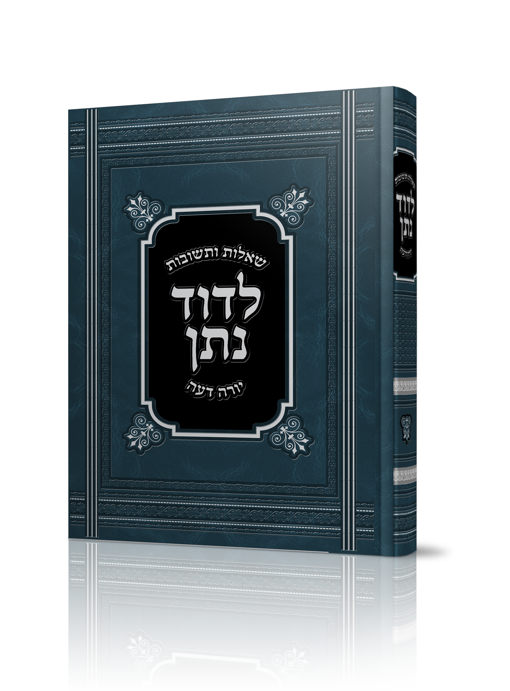 שו"ת לדוד נתן של הרב דוד שאולי שליט"א