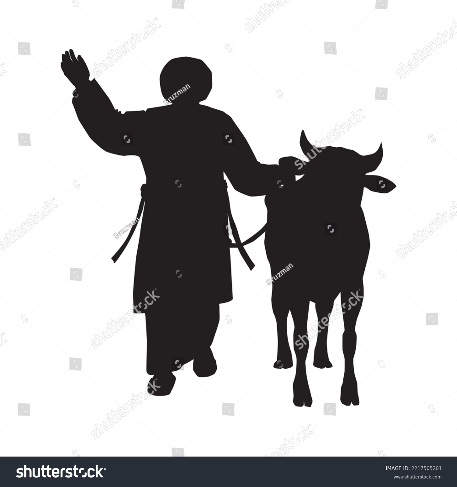 שחורה איש יהודי הולך עם קרבן פר פרה שור לירושלים עולה לרגל לבית המקדש שלושת הרגלים קרבן חגיגה...jpg