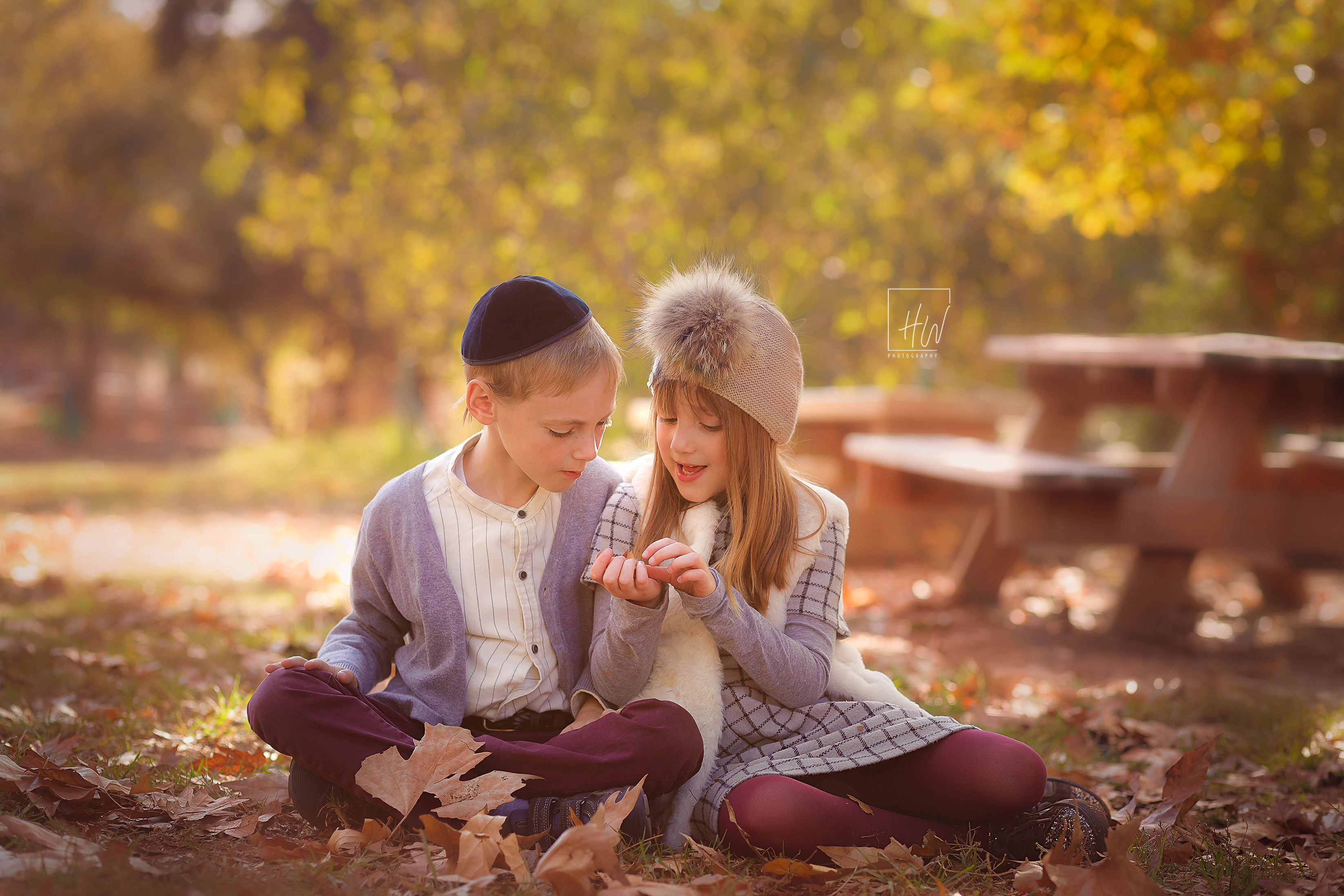 שחור סתיו8886November 10, 2017-Edit-Edit-2-2l