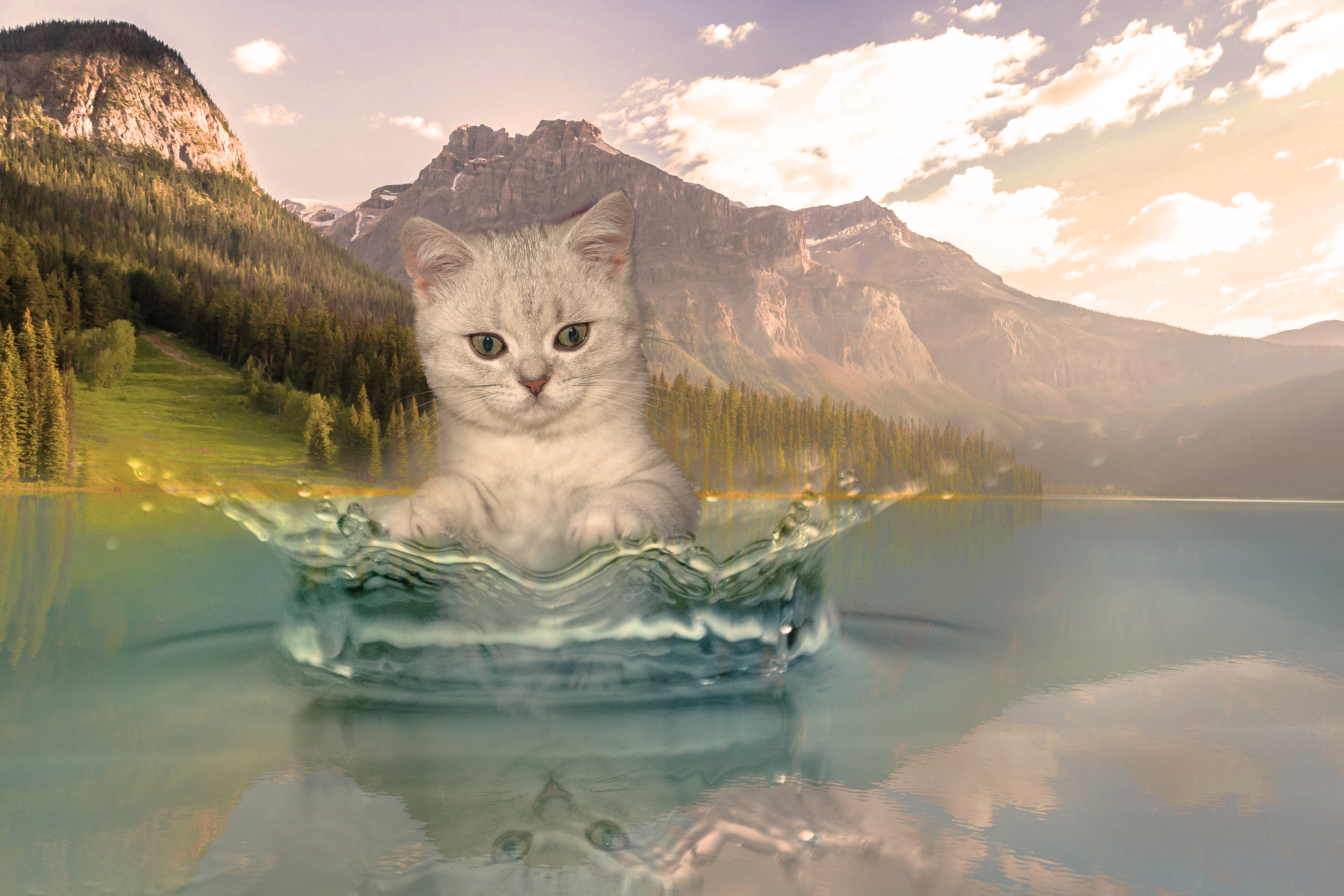 שיטת שילוב +מסיכה.