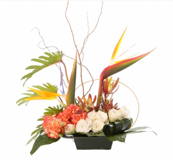 שילוב צבעוני