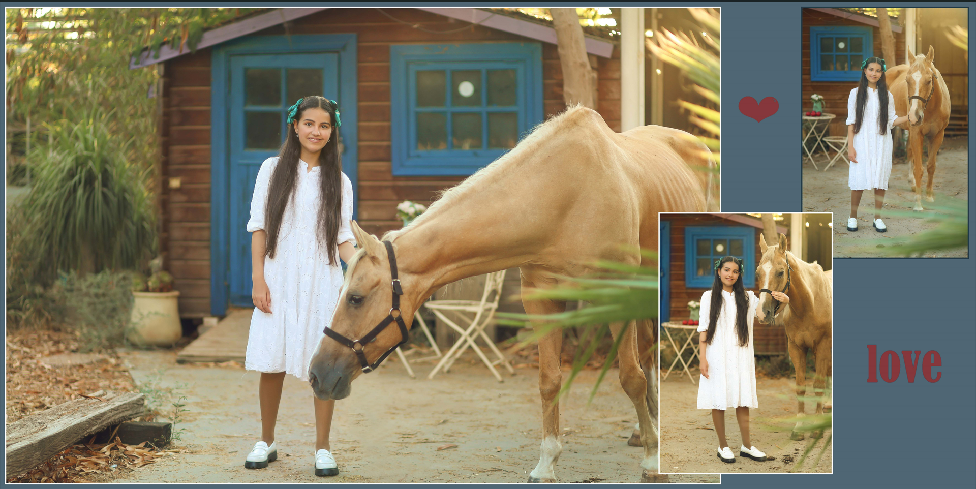 שילת 0527117507 (6).png