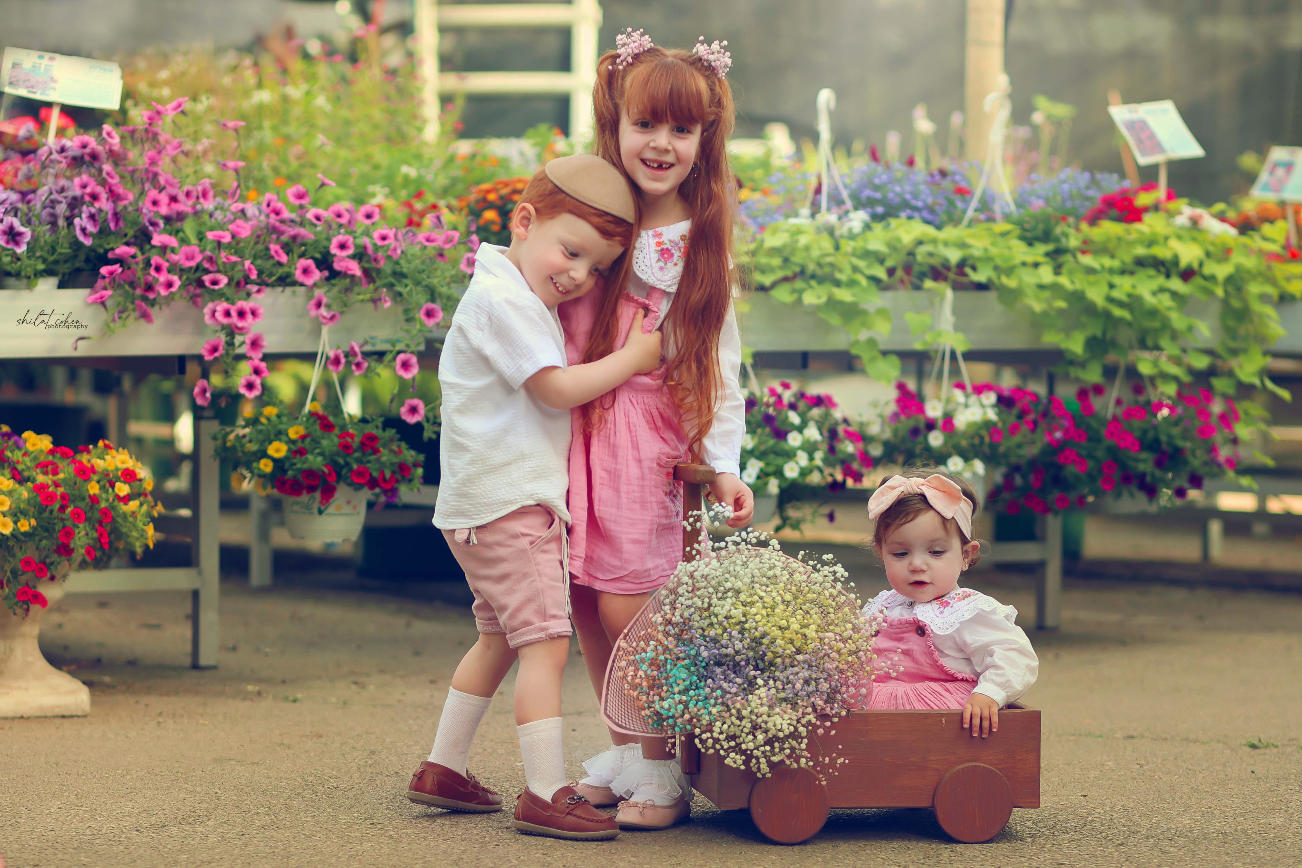 שילת 0527117507 (8).jpg