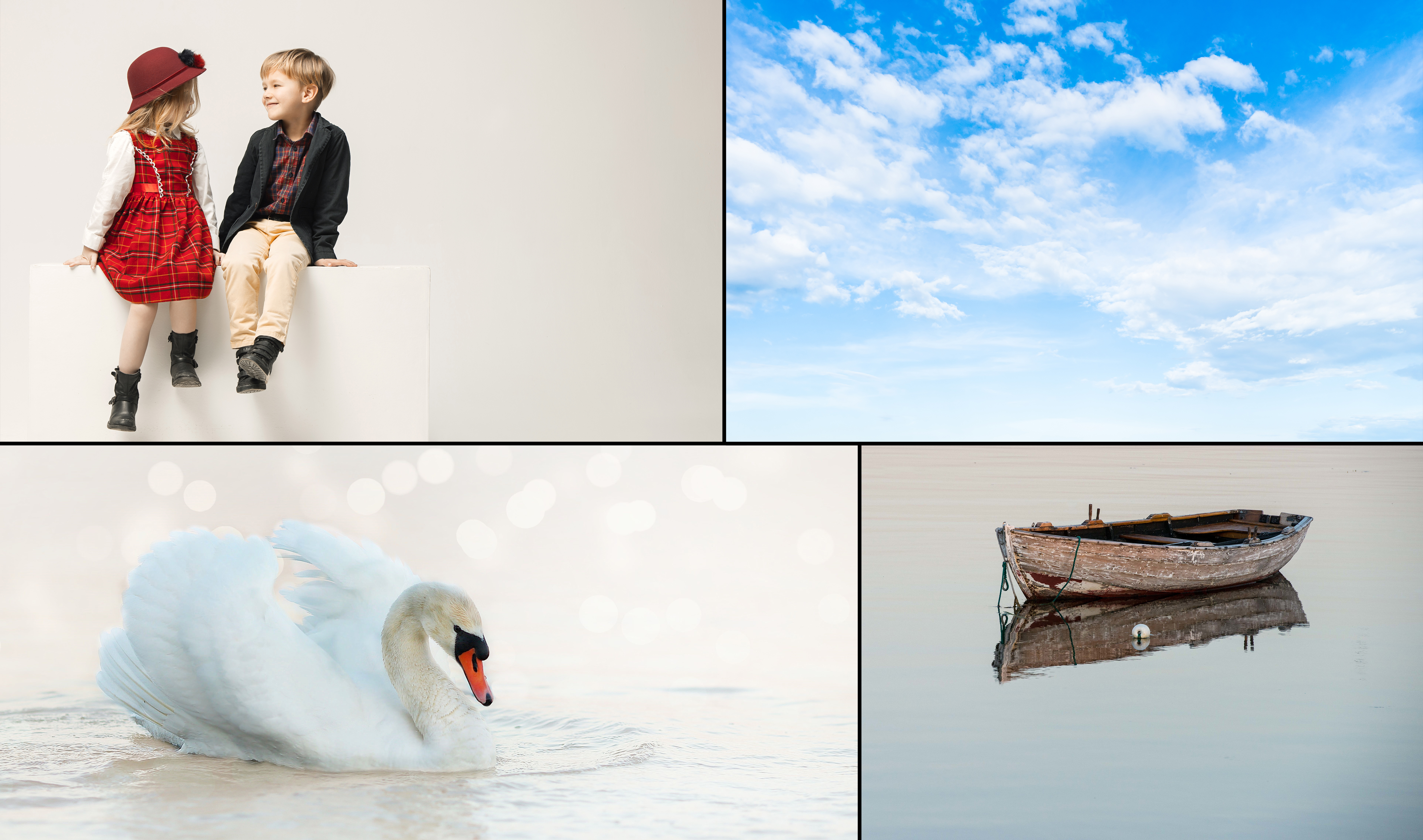 שינוי פרופורציות - תמונות מקור.jpg