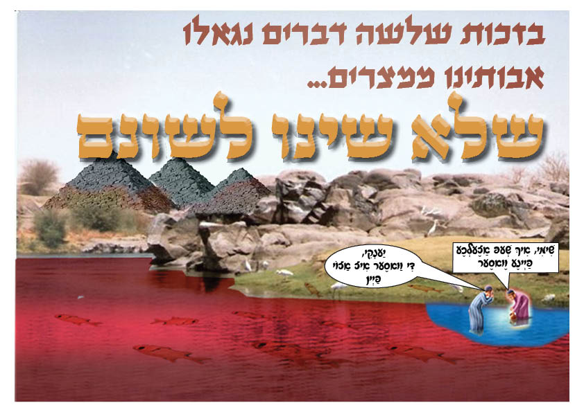 שלא שינו לשונם