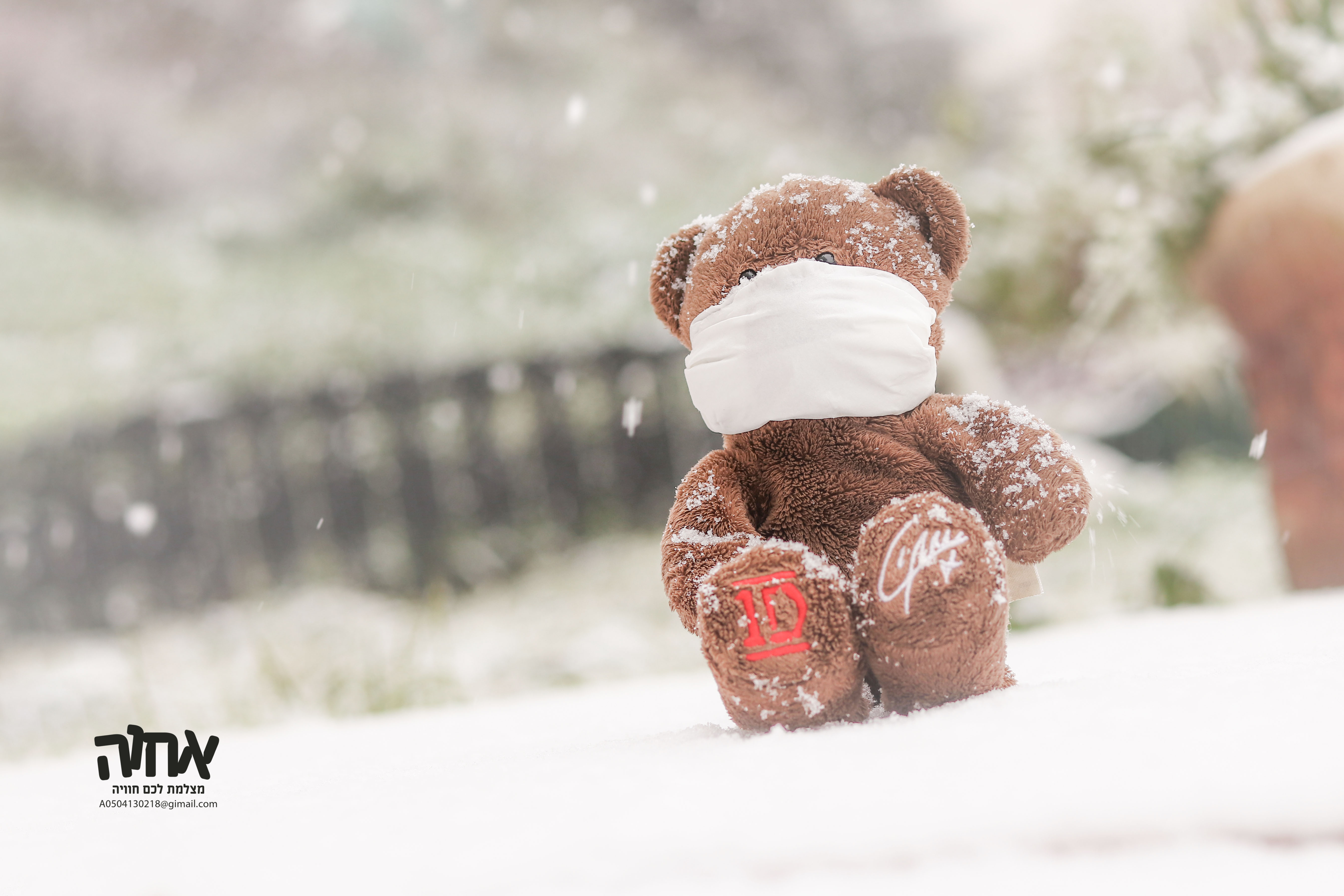 שלג בצפת תשפ"א