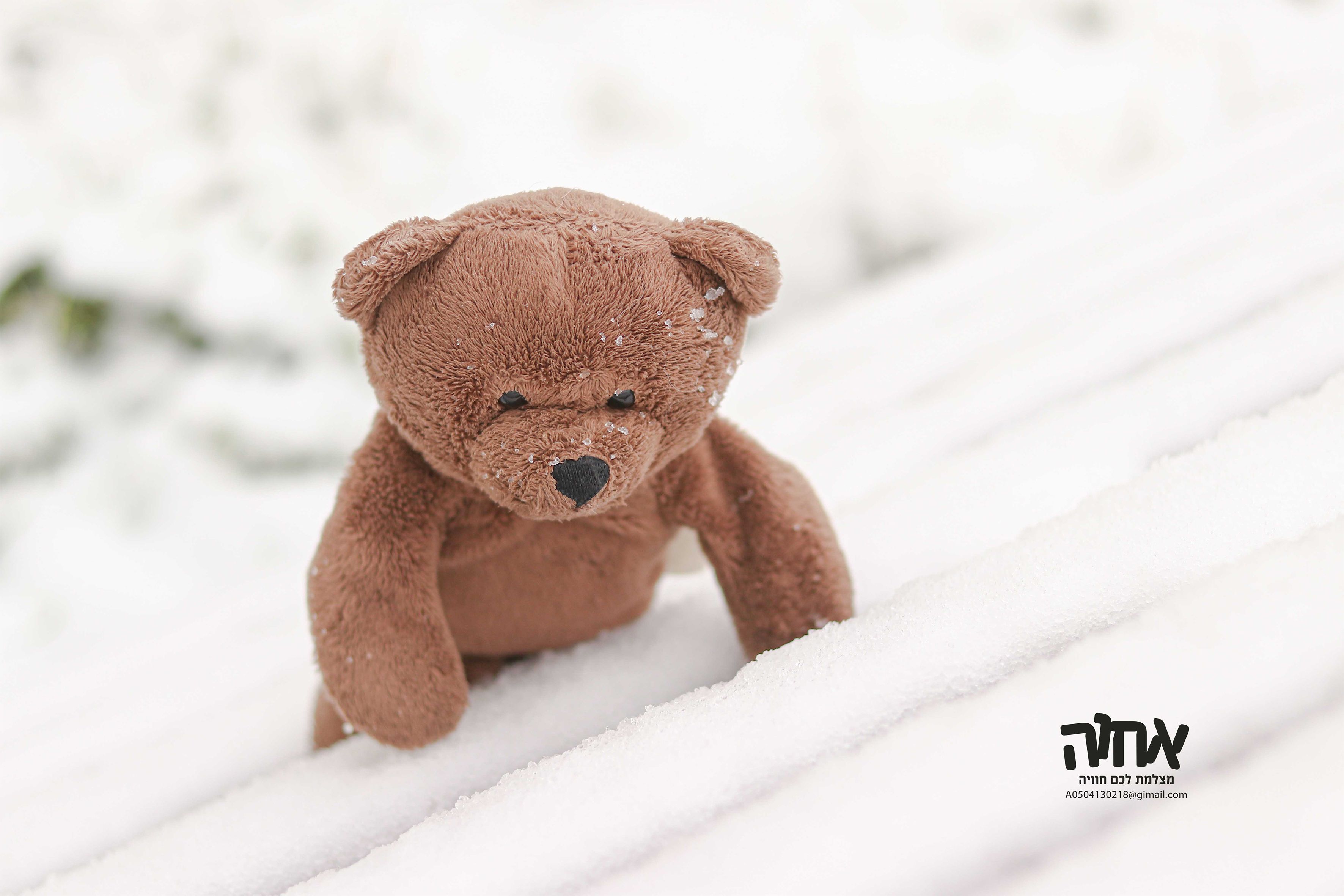 שלג בצפת תשפ"א