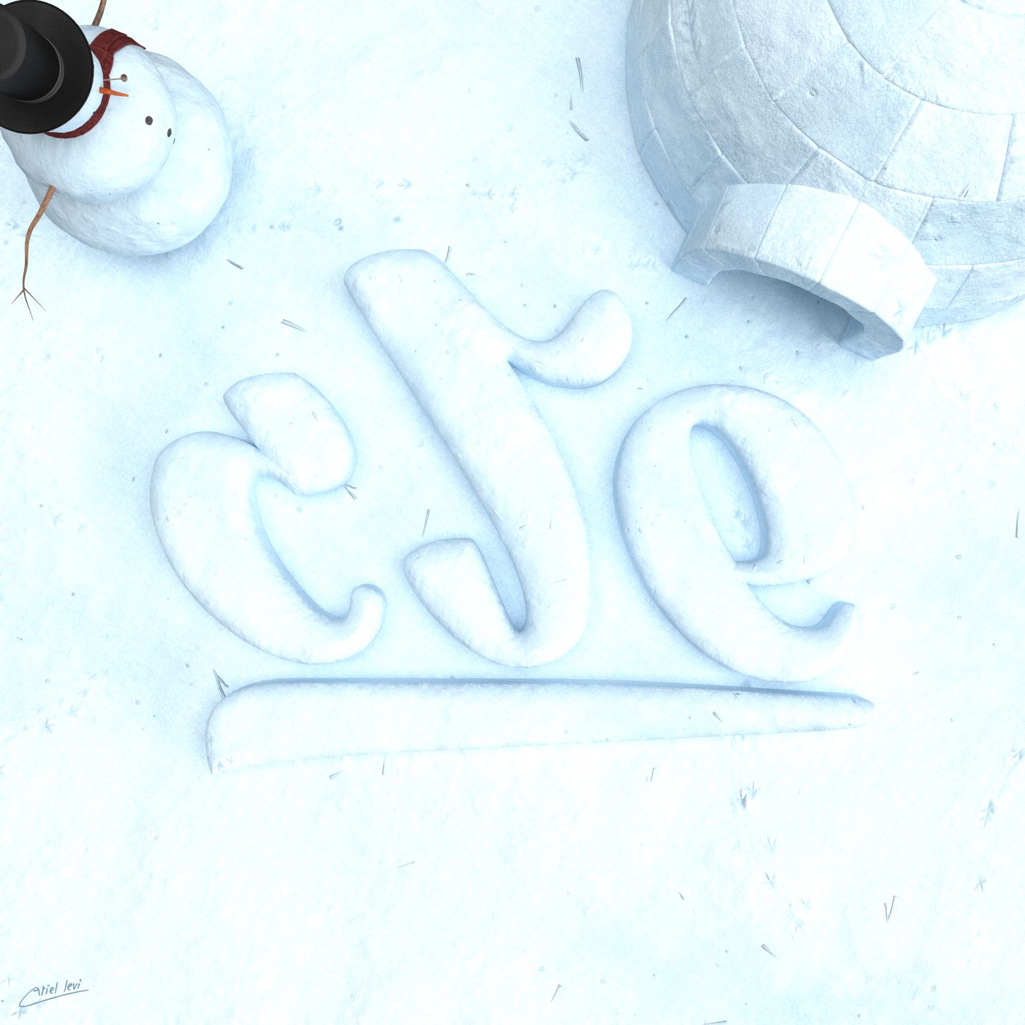 שלג2 קטן.jpg