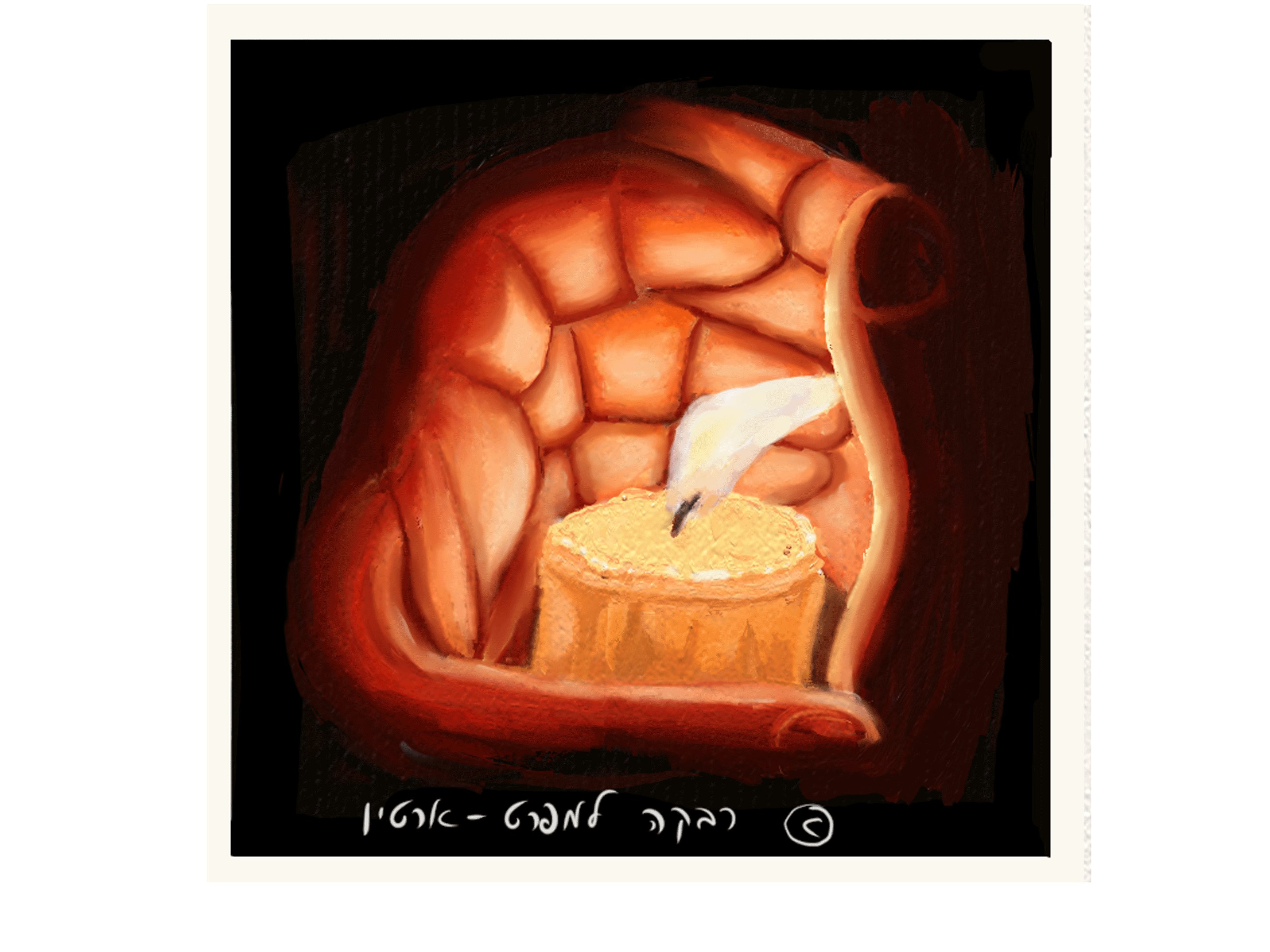 שמור נא על נרי