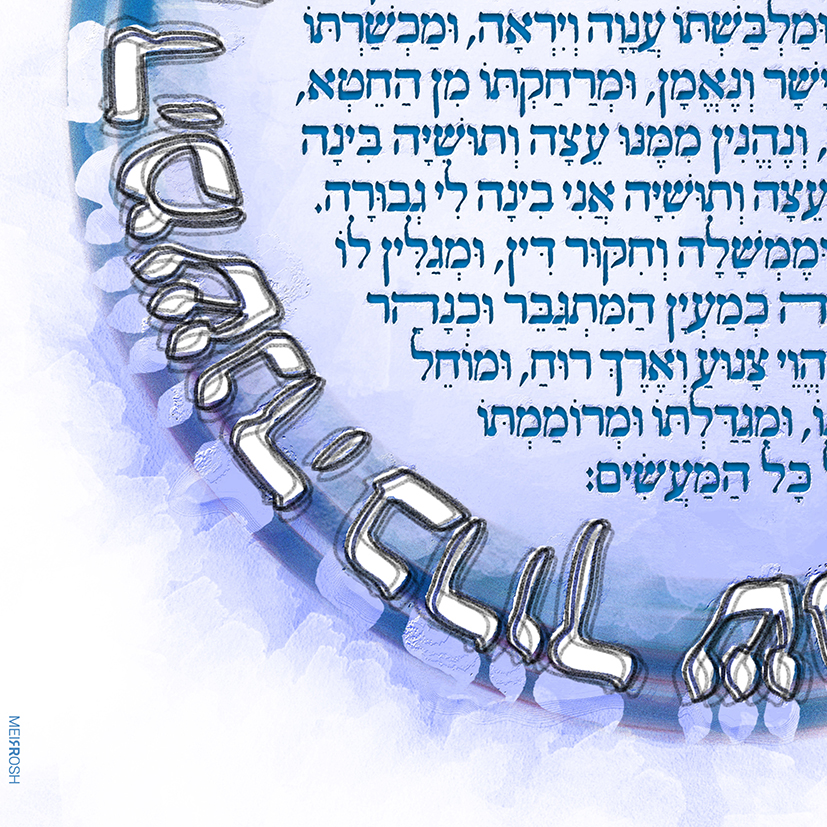 שנו חכמים MeirRoshDesign6